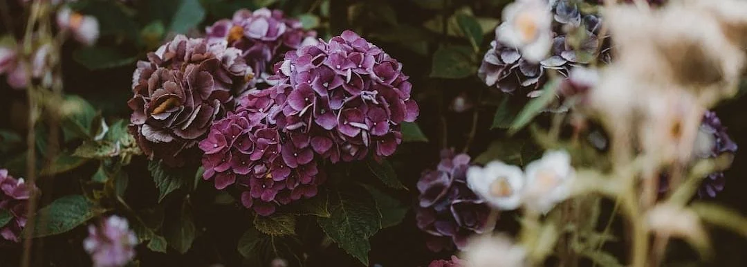 On Sowing and Reaping