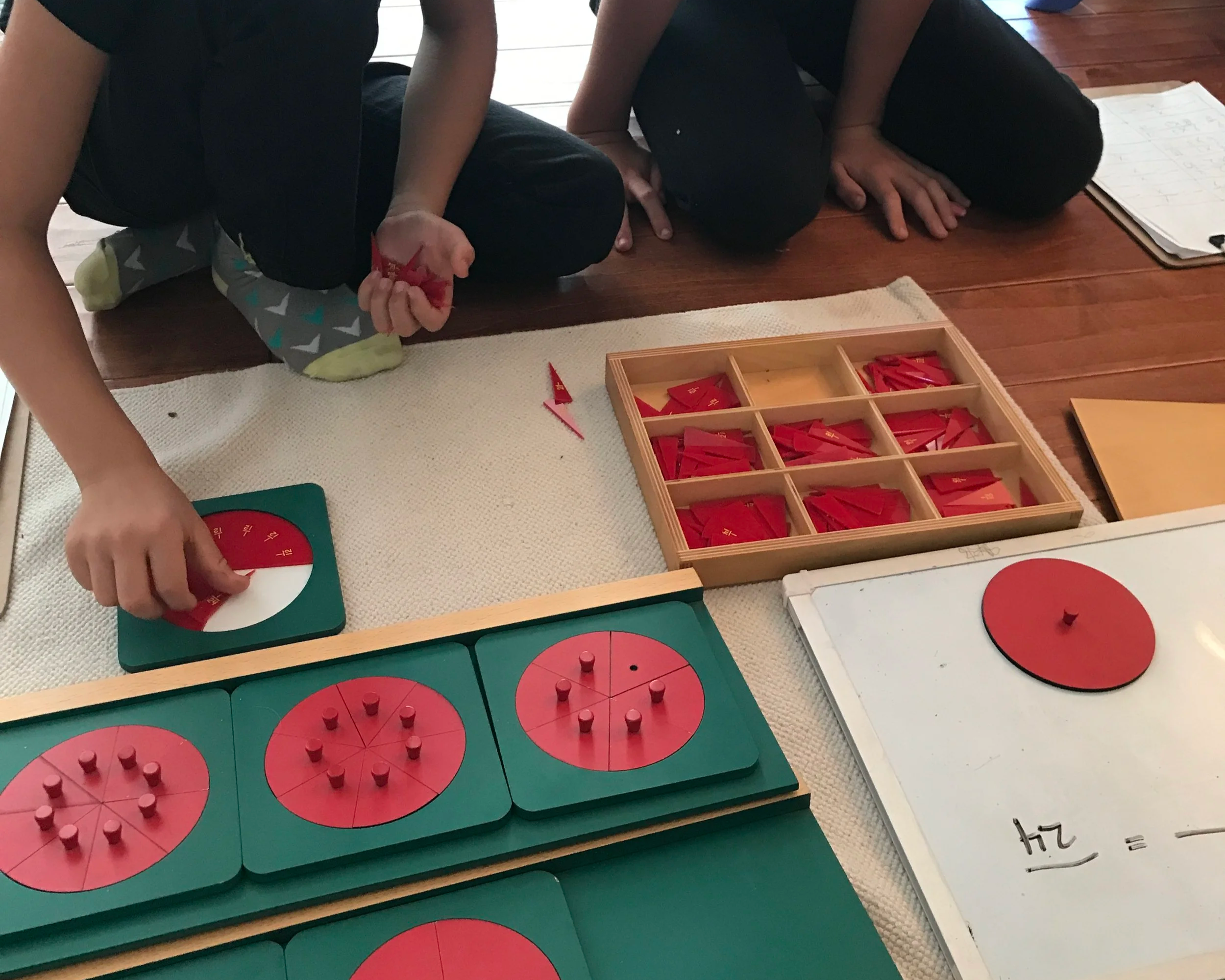 Montessori elementary homeschooler using metal fraction circles in math lesson