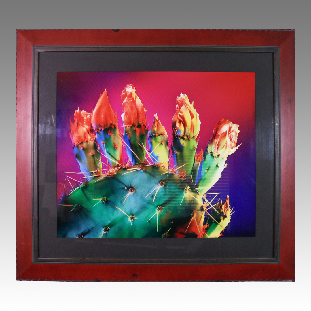 Bill Lesch photograph