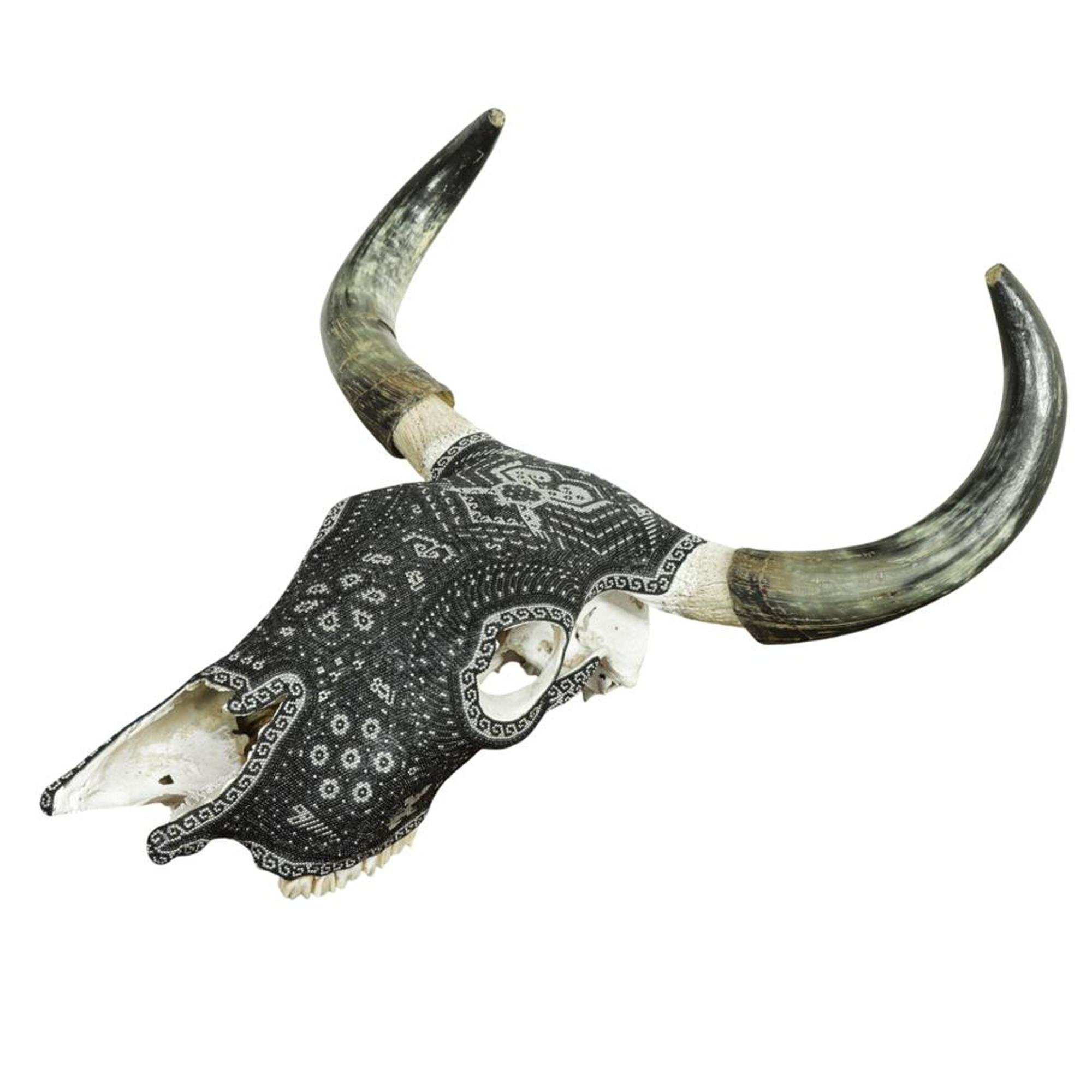 Chroma Skull 3 3.png