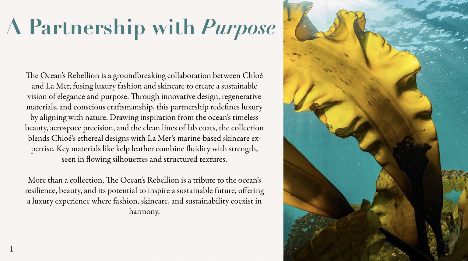 Screenshot 2026-01-27 232604.png