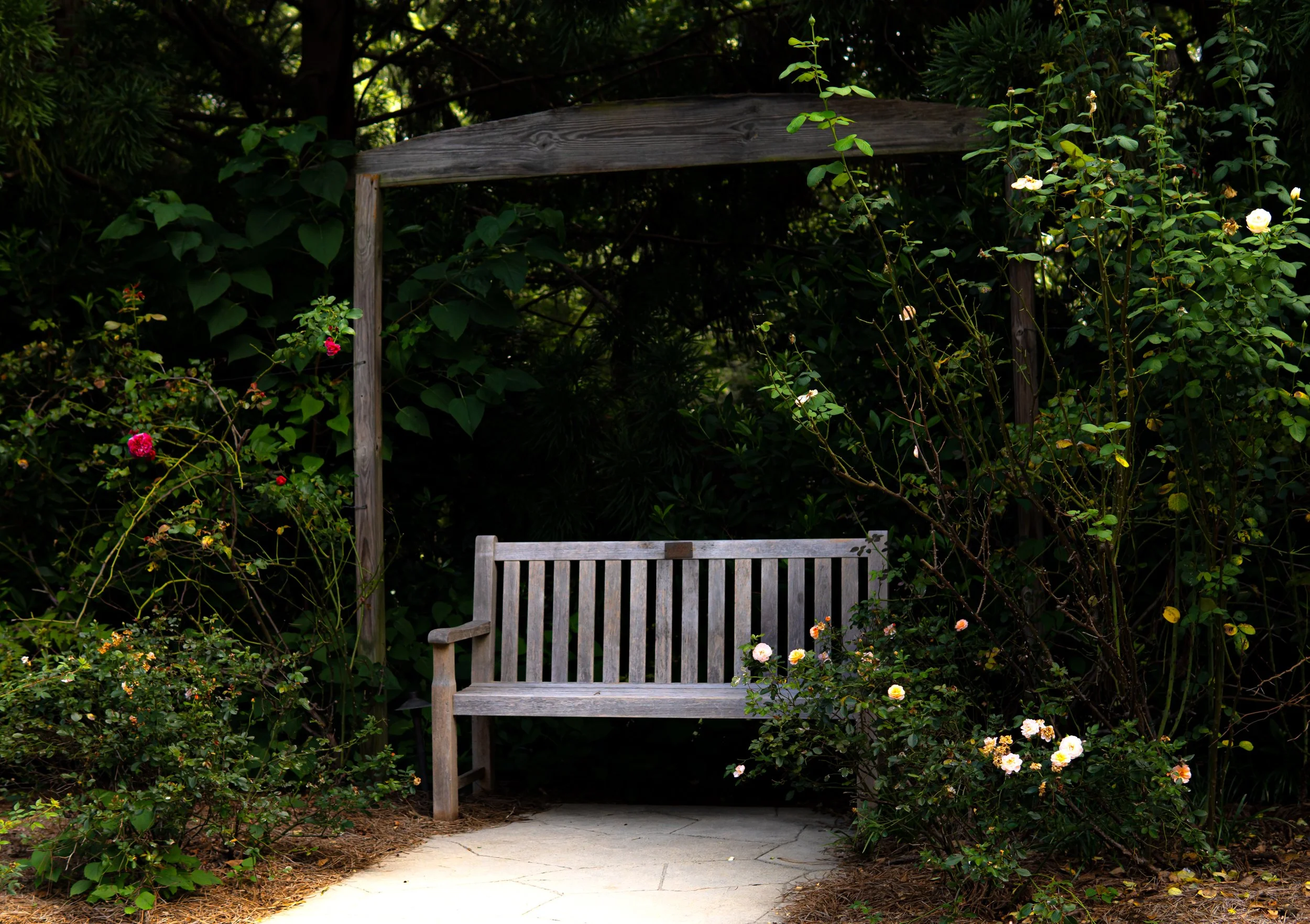 little whimsical shit.jpg