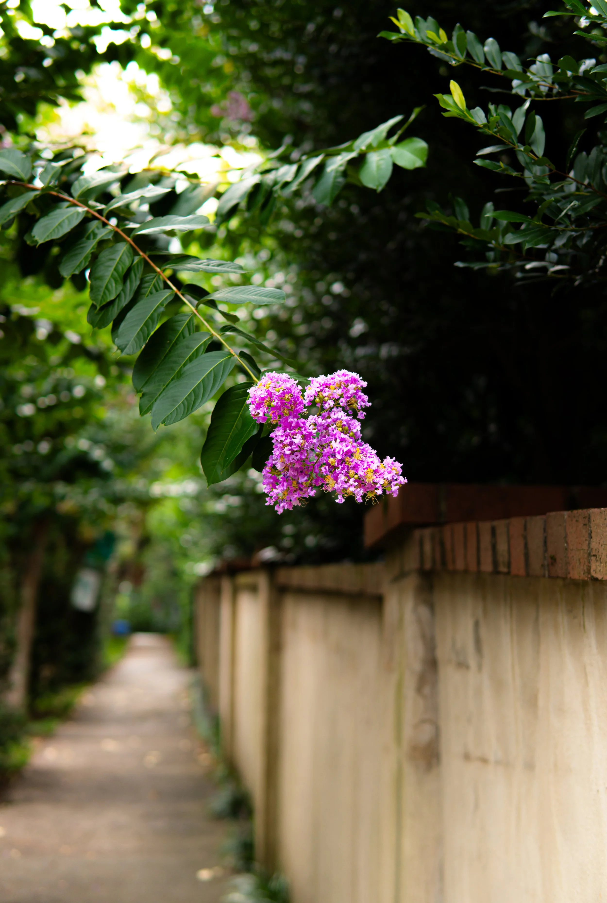 search for light.jpg