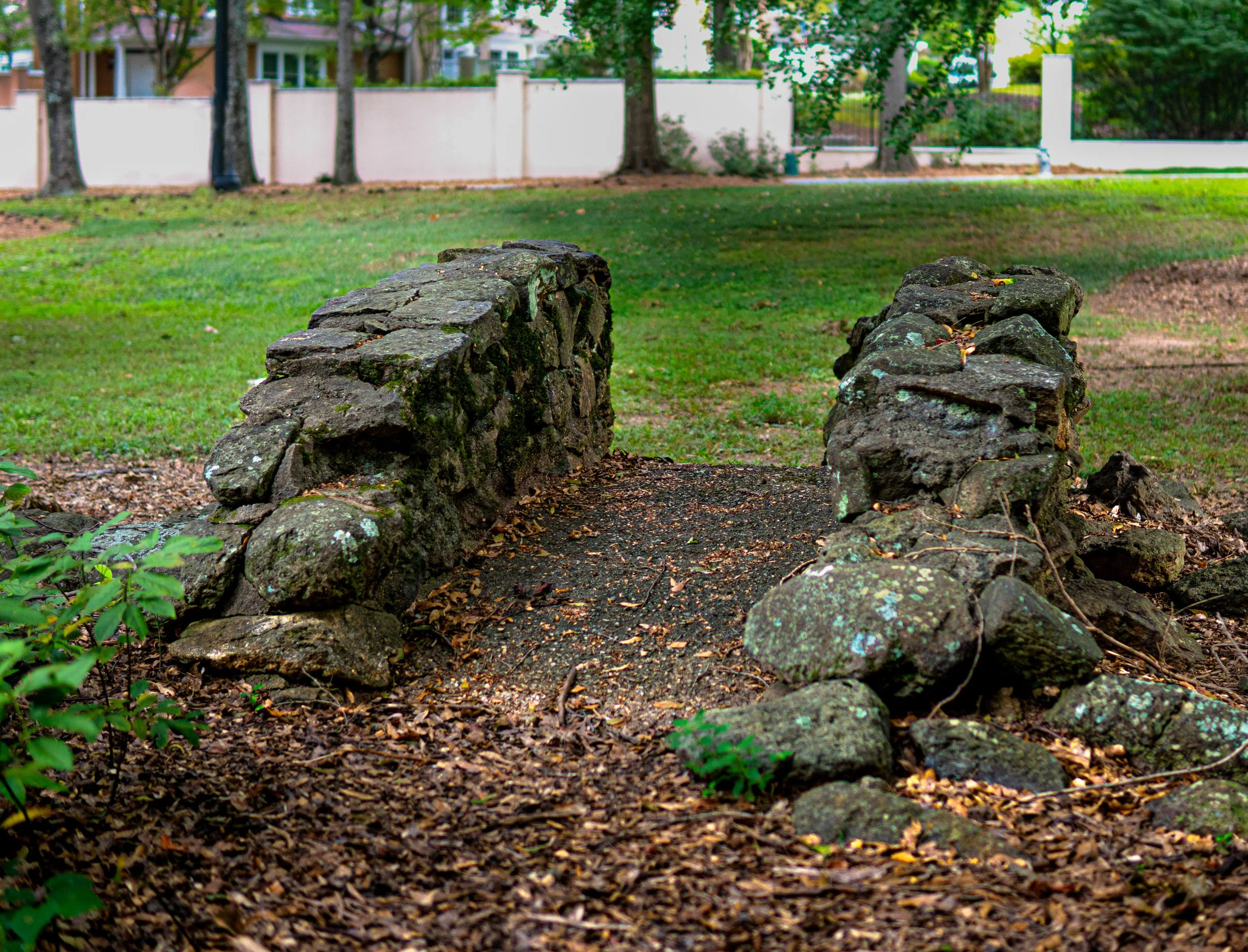 elf crossing 2.5.jpg