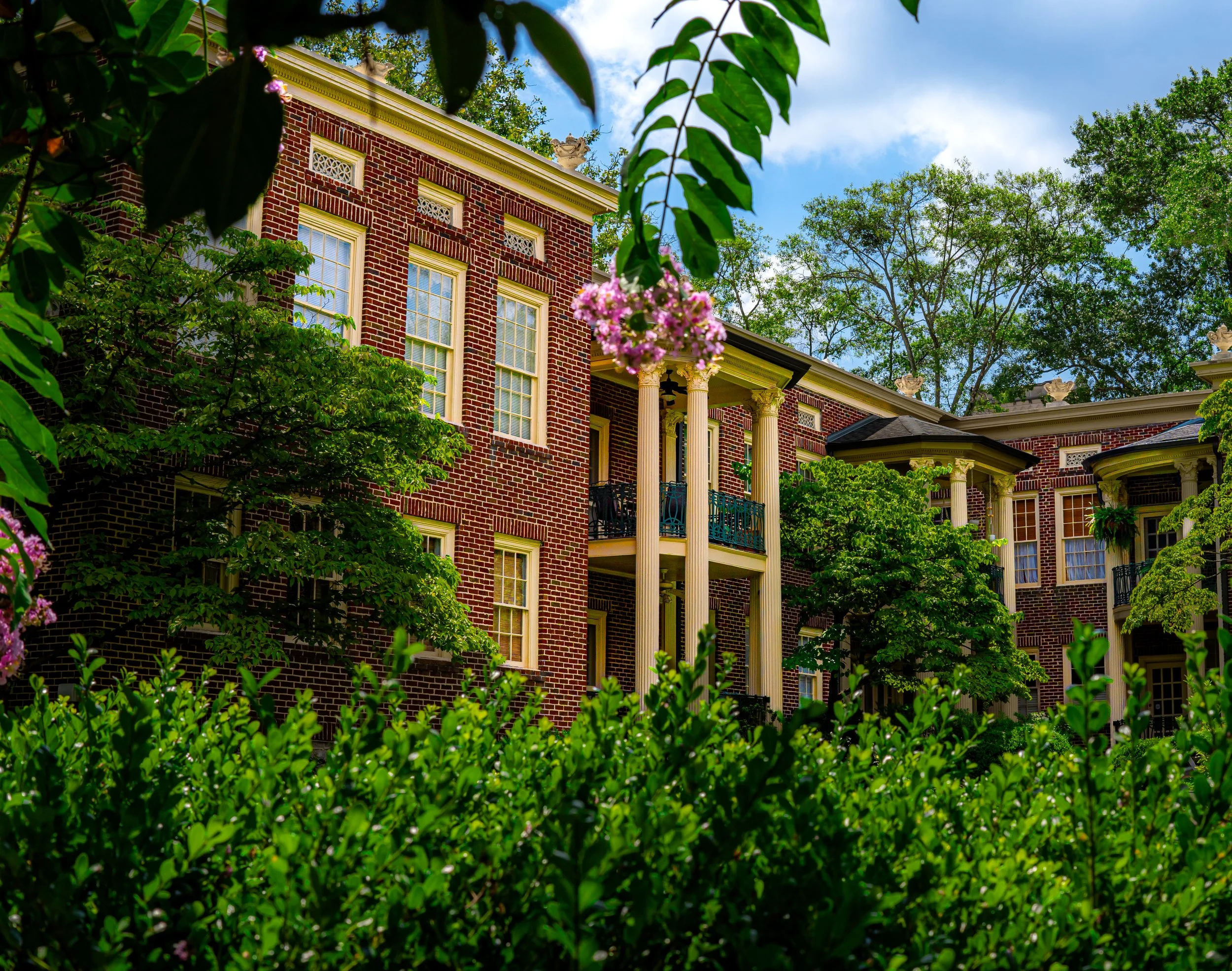 elegant shrubbery.jpg