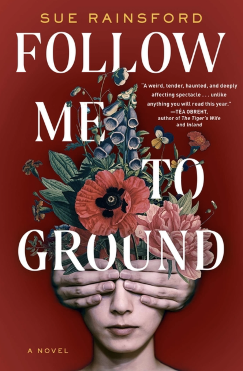 Follow Me to Ground by Sue Rainsford [Paperback]