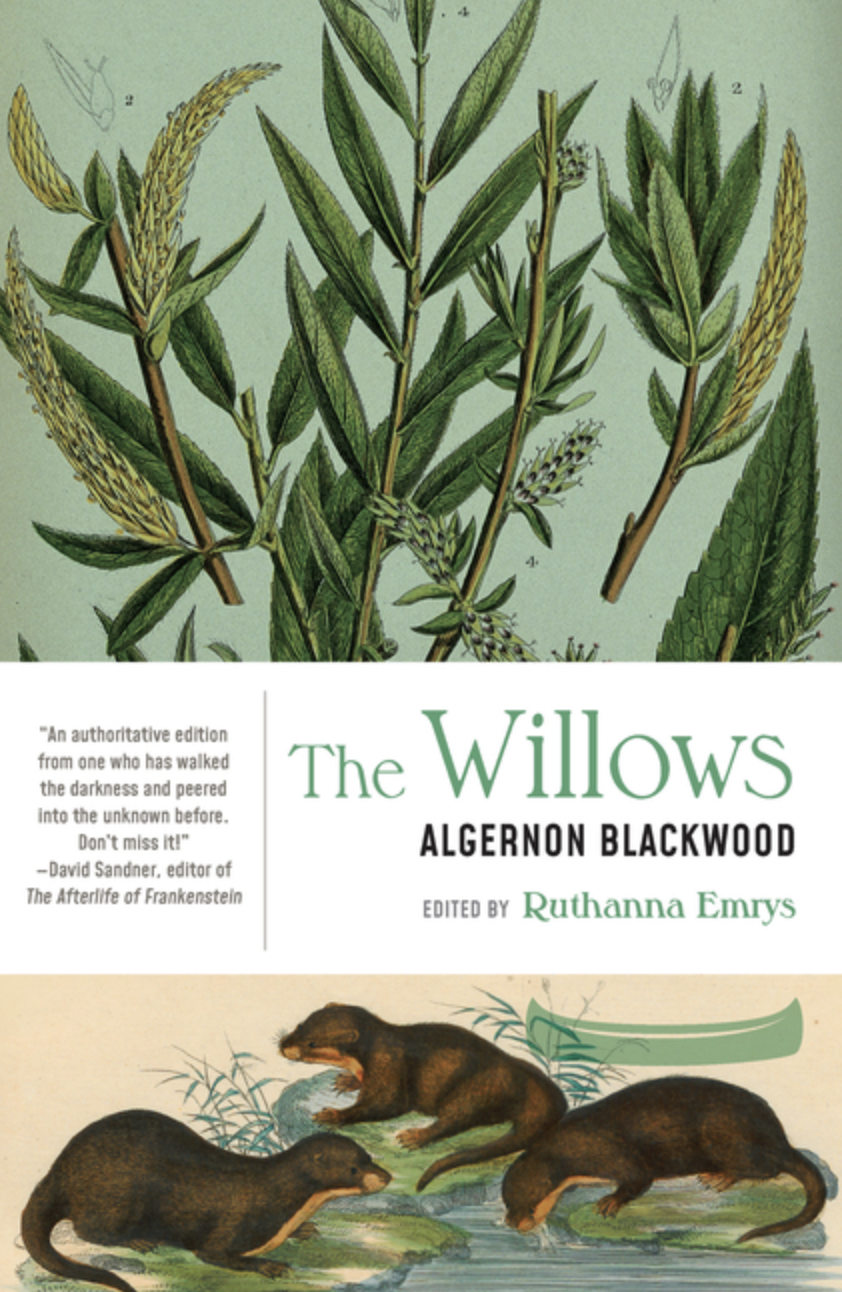 The Willows by Algernon Blackwood [Paperback]