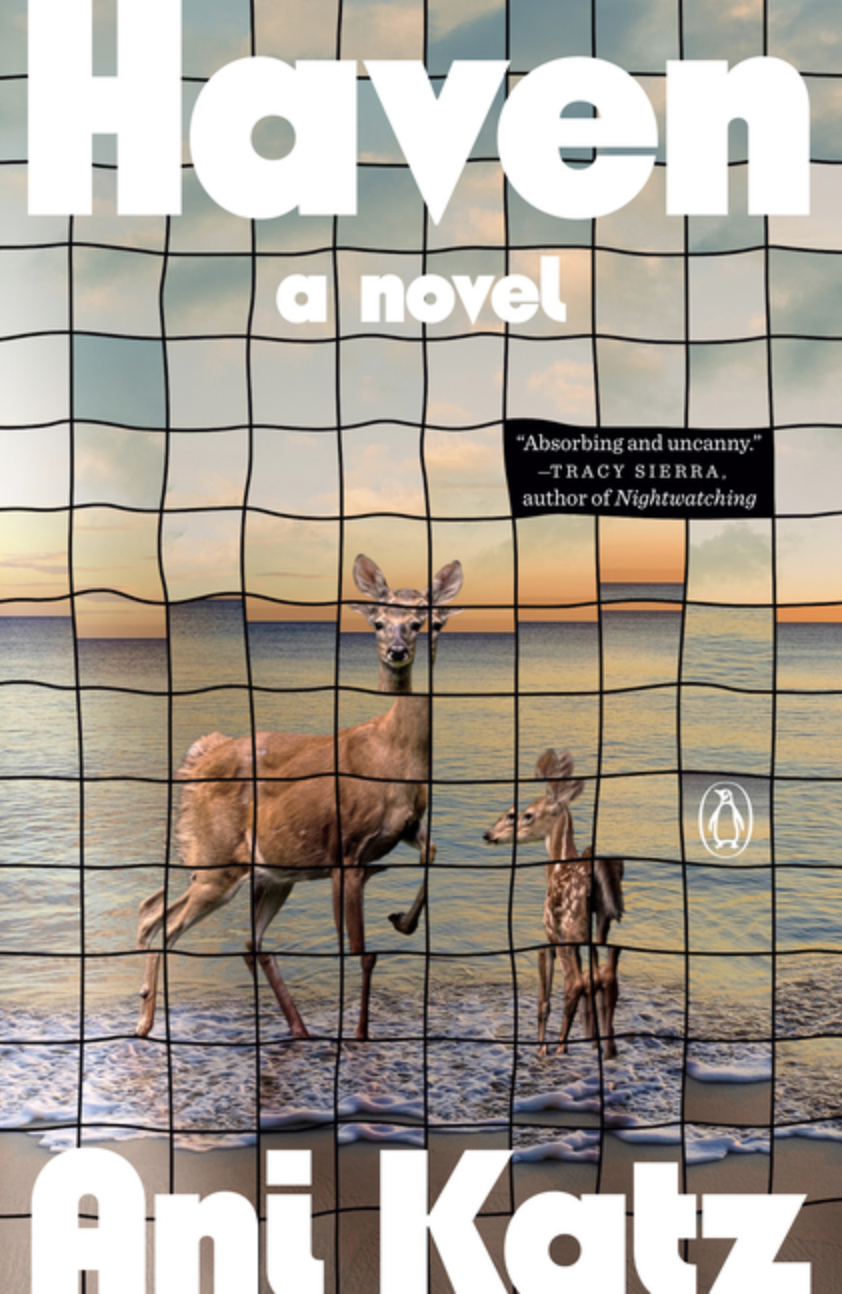 Haven by Ani Katz [Paperback]