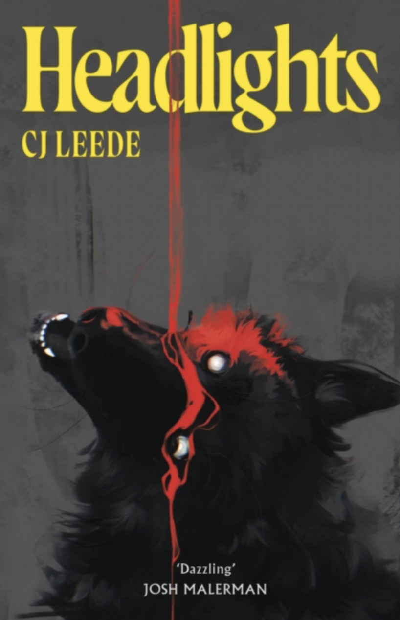 Headlights by CJ Leede (UK IMPORT) [Hardcover]