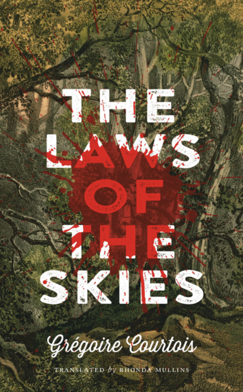 The Laws of the Skies by Grégoire Courtois [Paperback]