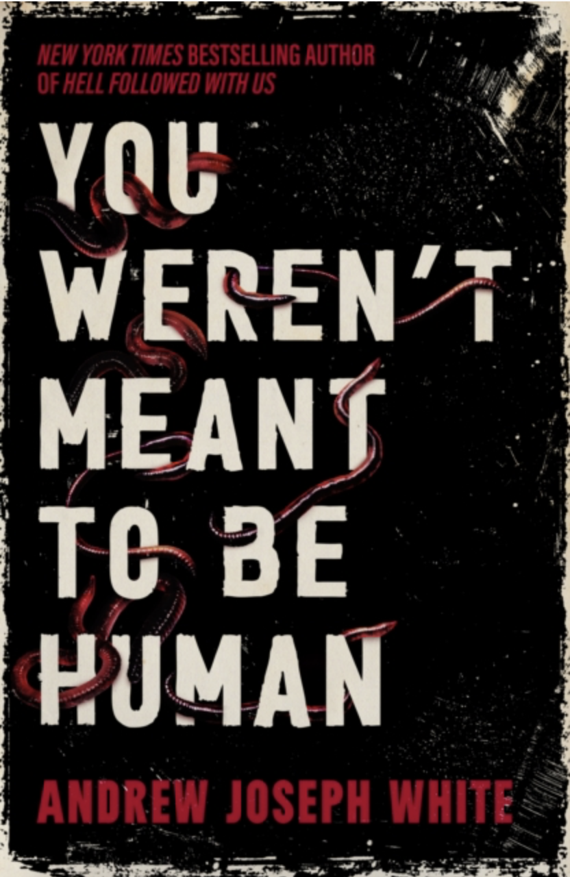 Screenshot 2026-01-02 at 2.31.12 PM.png