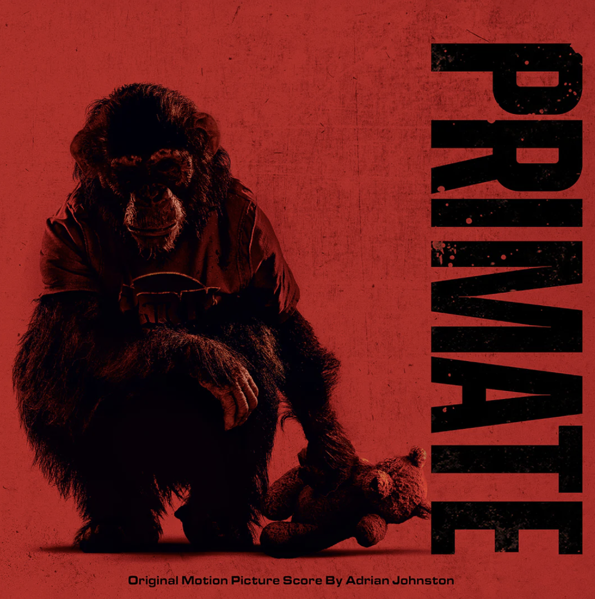 Screenshot 2026-03-15 at 2.48.49 PM.png