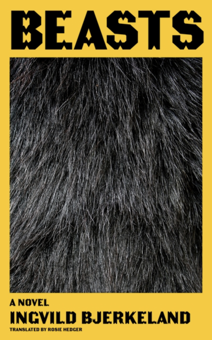 Beasts by Ingvild Bjerkeland (YA) [Hardcover]