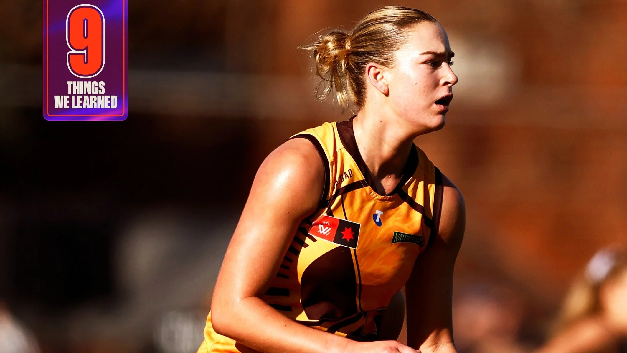 Nine things we learned: This Hawk is firming for a maiden All-Australian blazer
