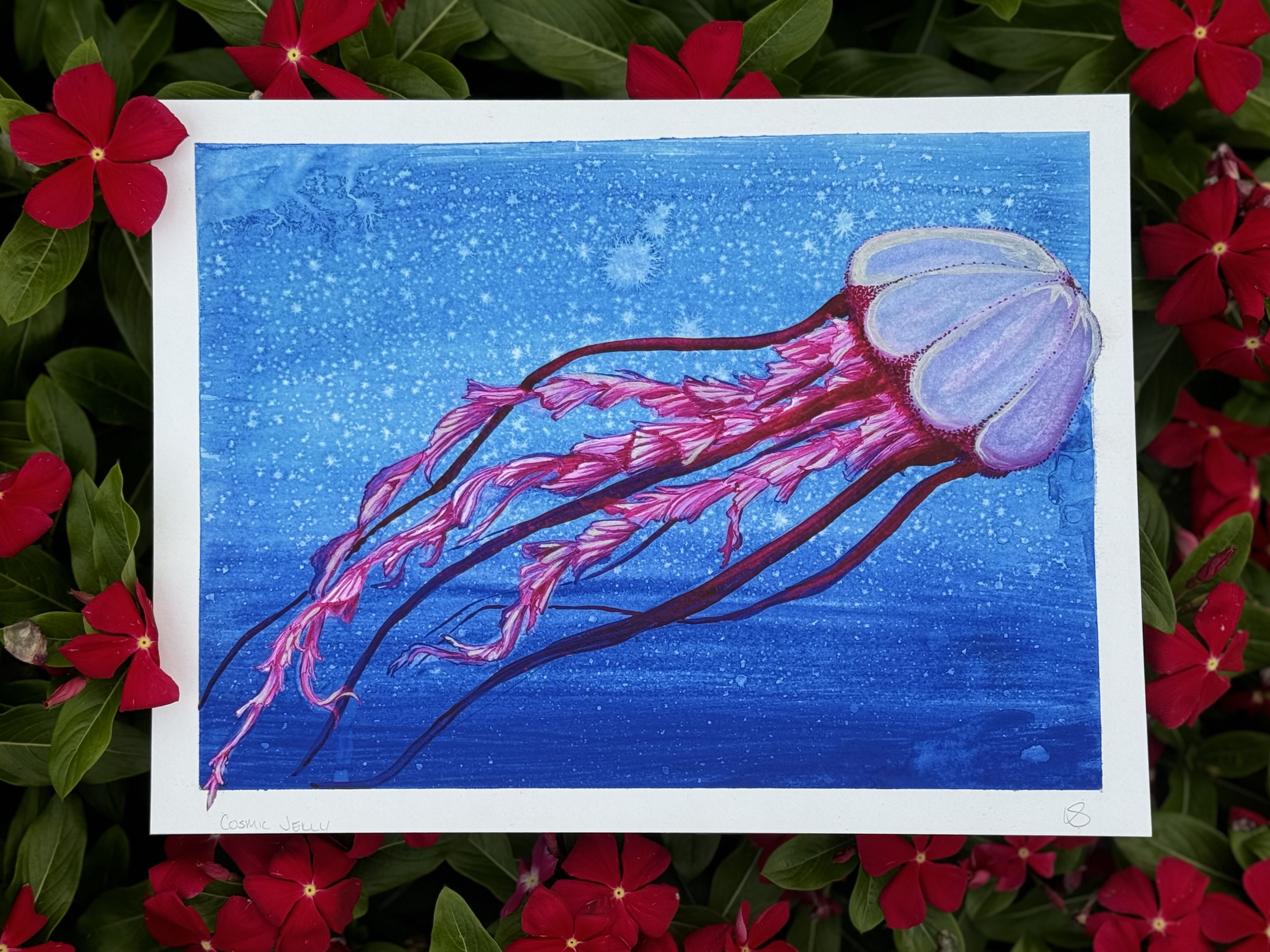 Cosmic Jelly.png