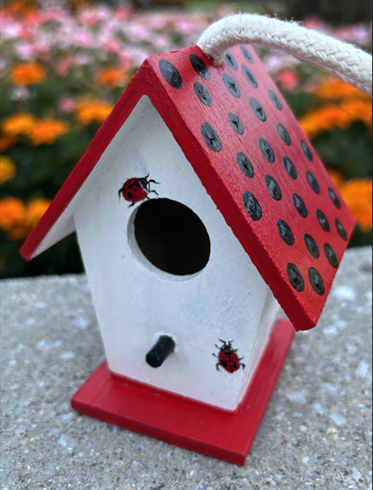 Ladybug - Website.png