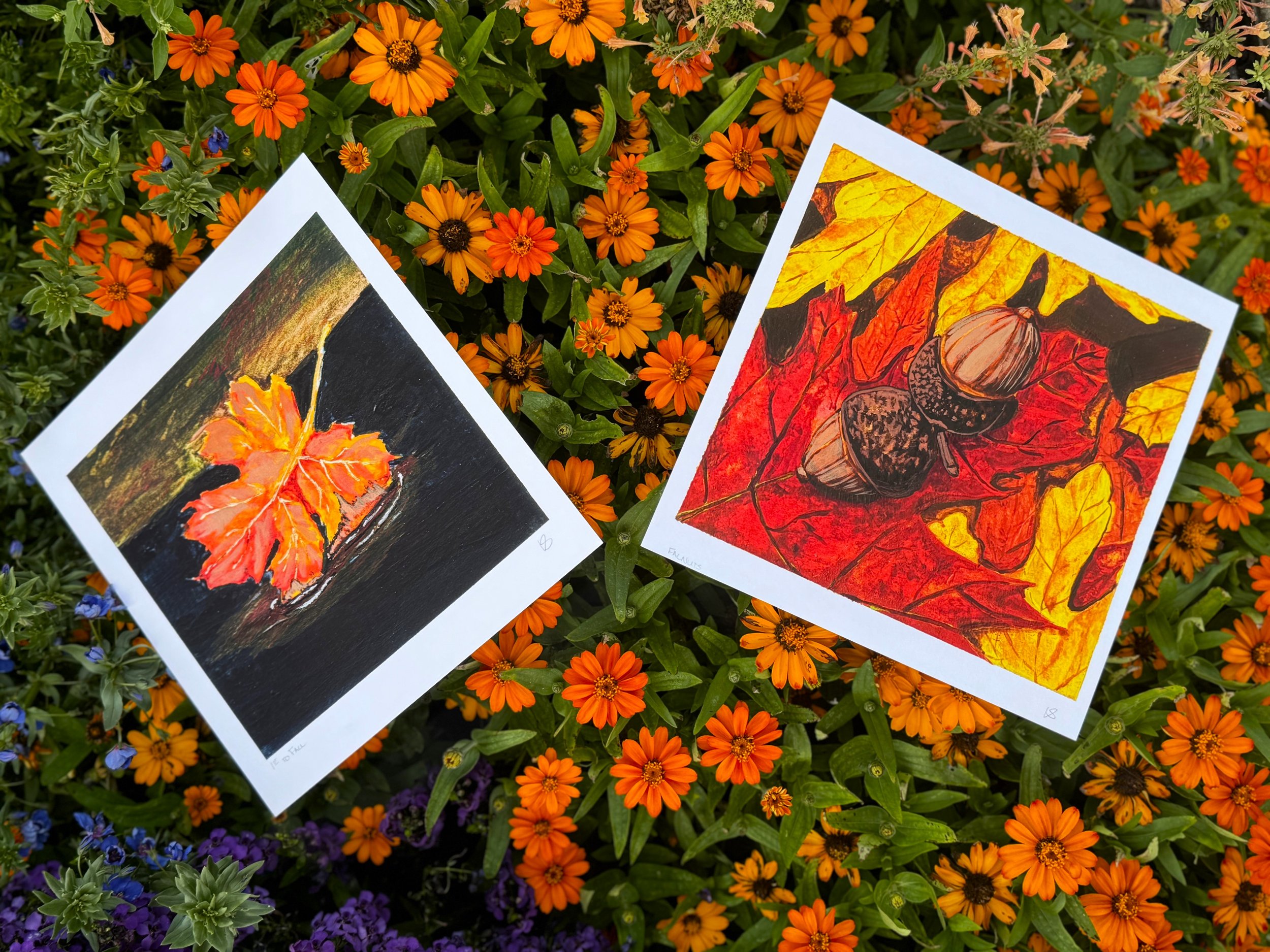 1st to Fall & Falnuts.jpeg