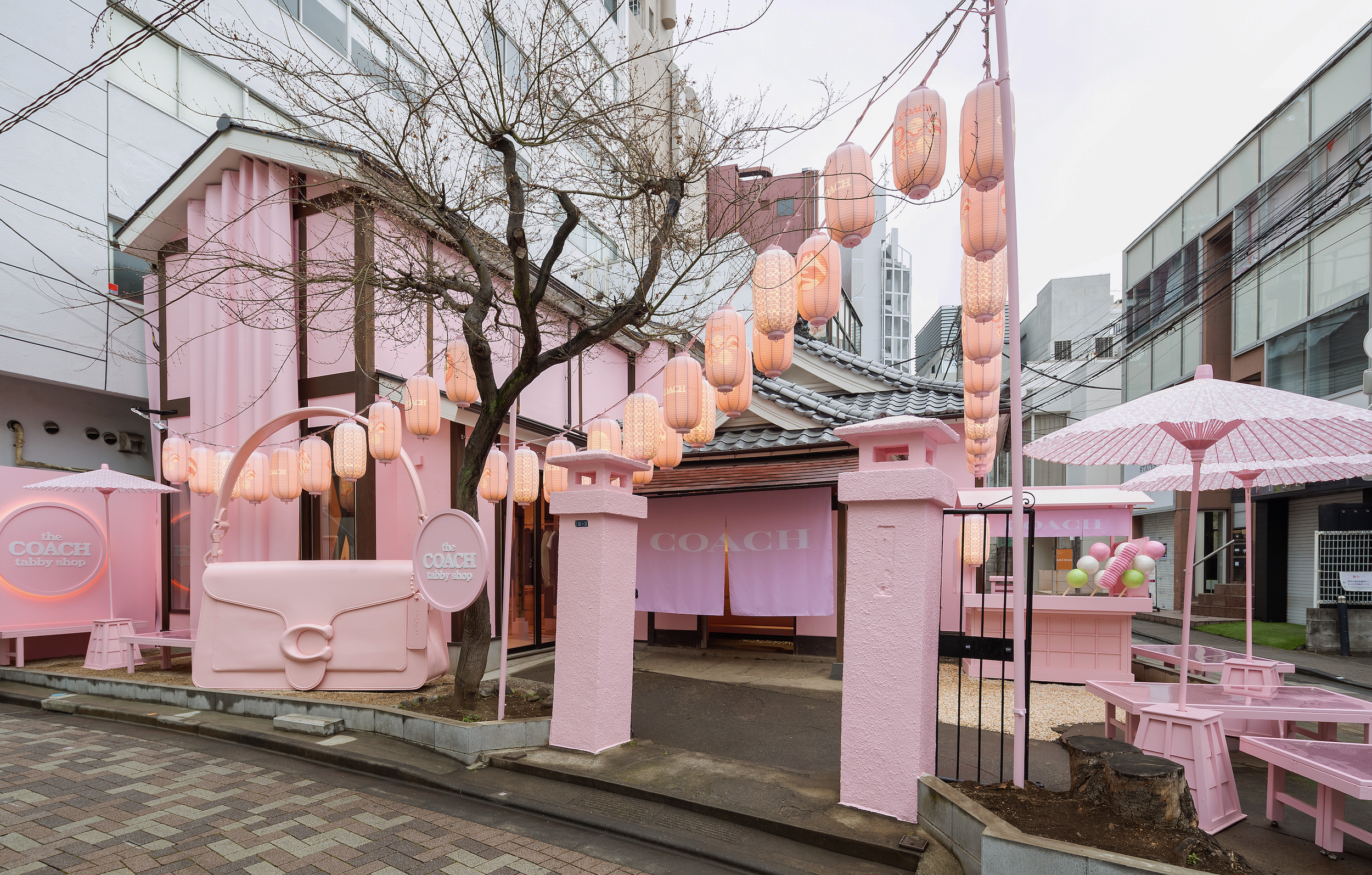 Pop up in Japan Collaboration Leveraging 3D Tabby