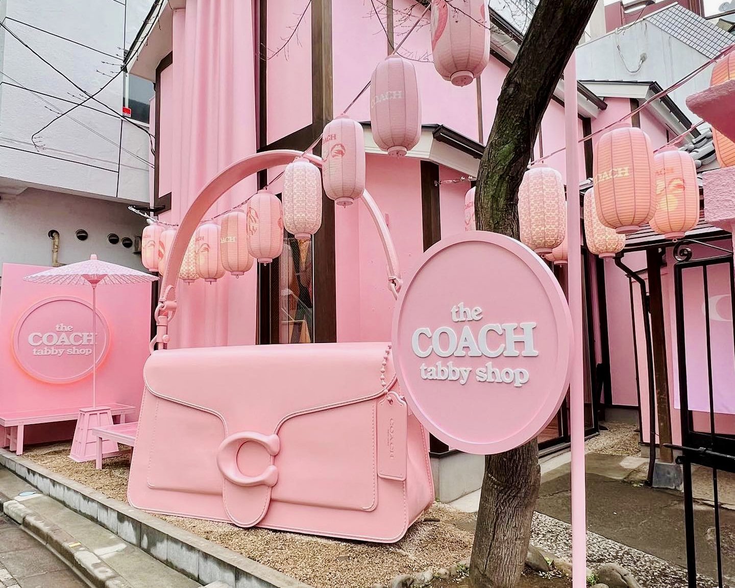 Pop up in Japan Collaboration Leveraging 3D Tabby