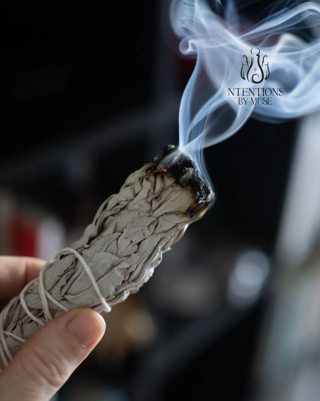 Untitled design - 2.png