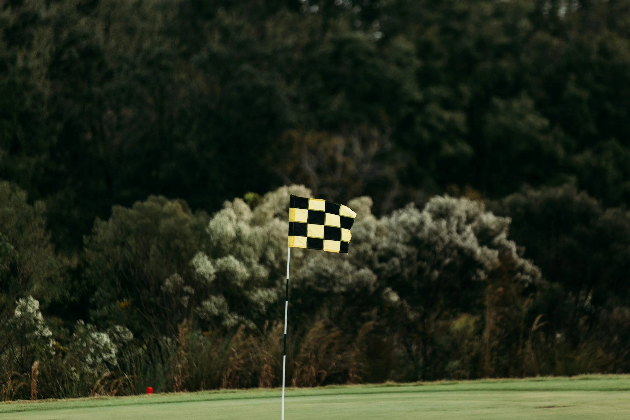 A checkered yellow and black golf flag on a golf course green with trees in the background.