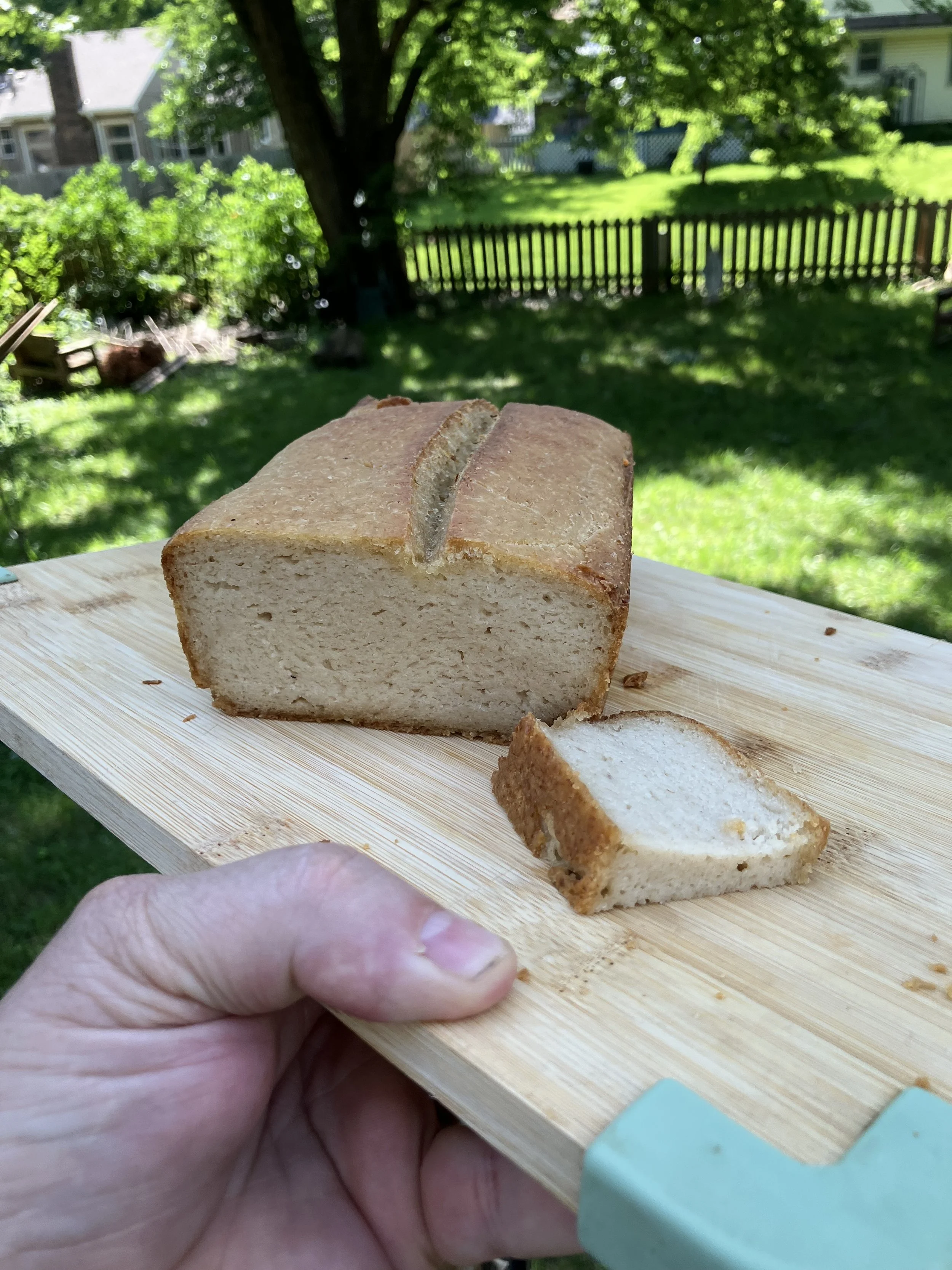 Sandwich Bread