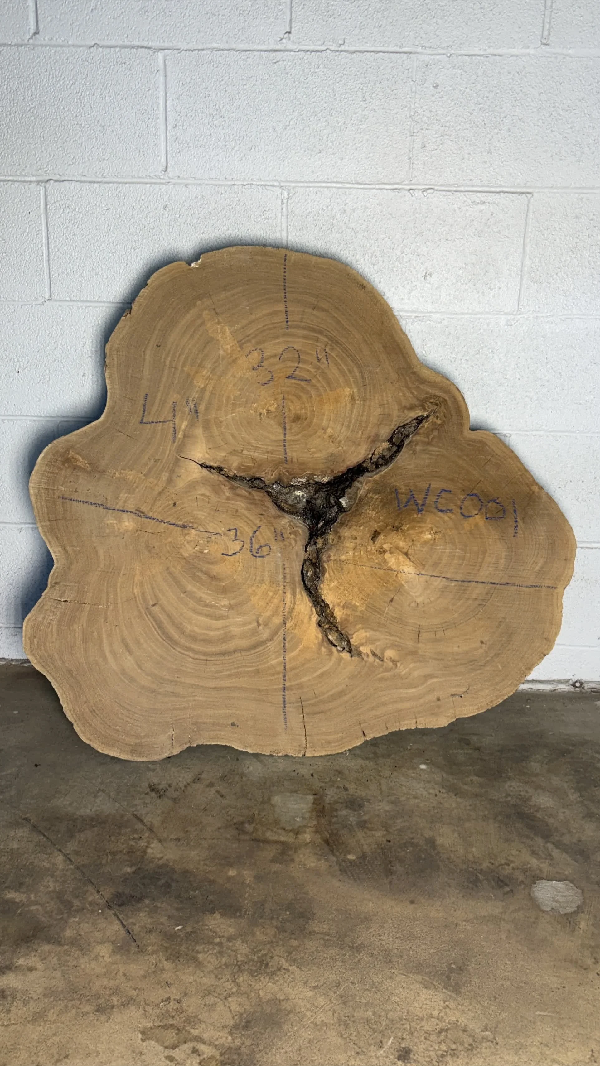 Walnut Cookie WC001