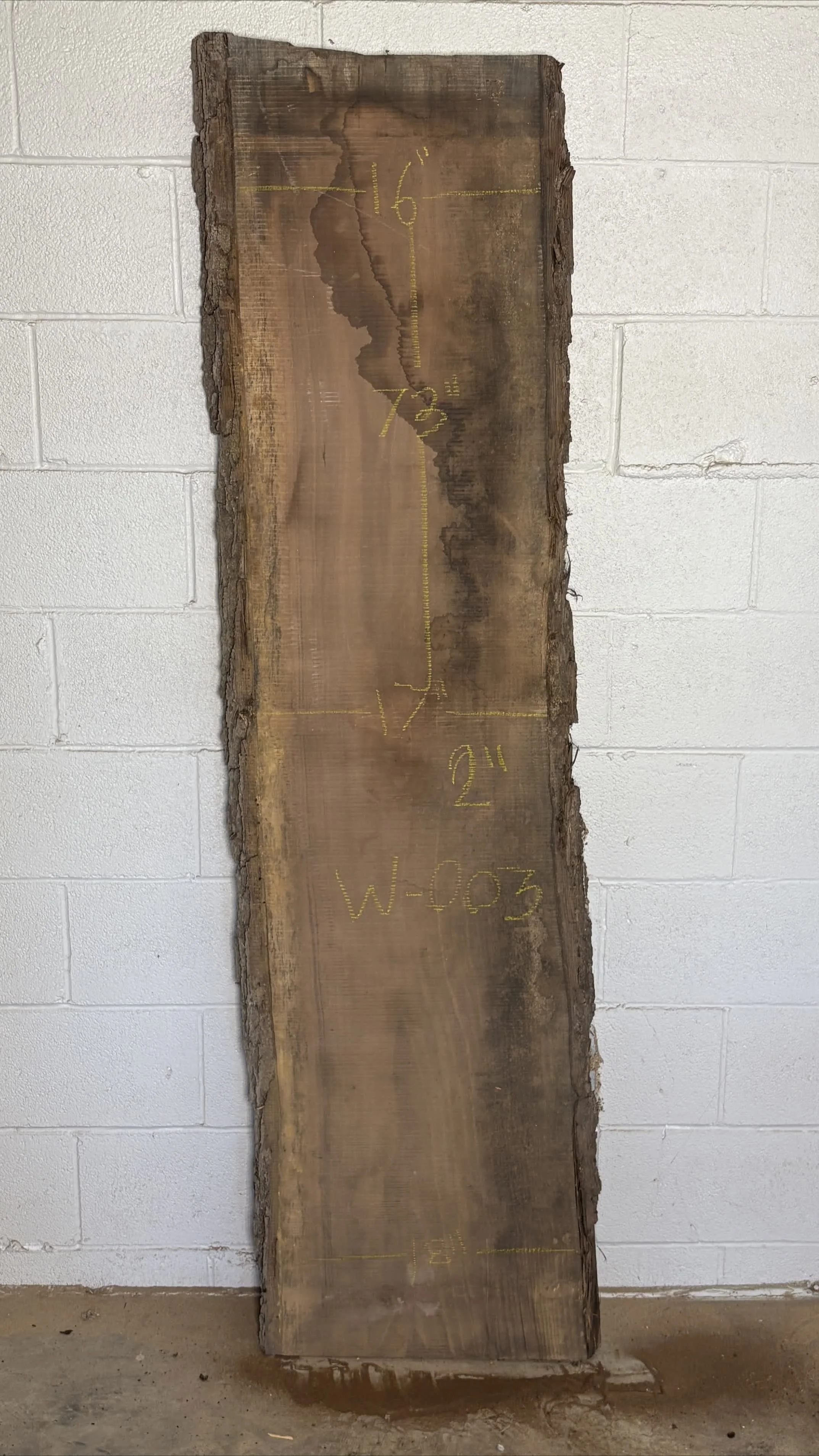 Walnut Slab W003