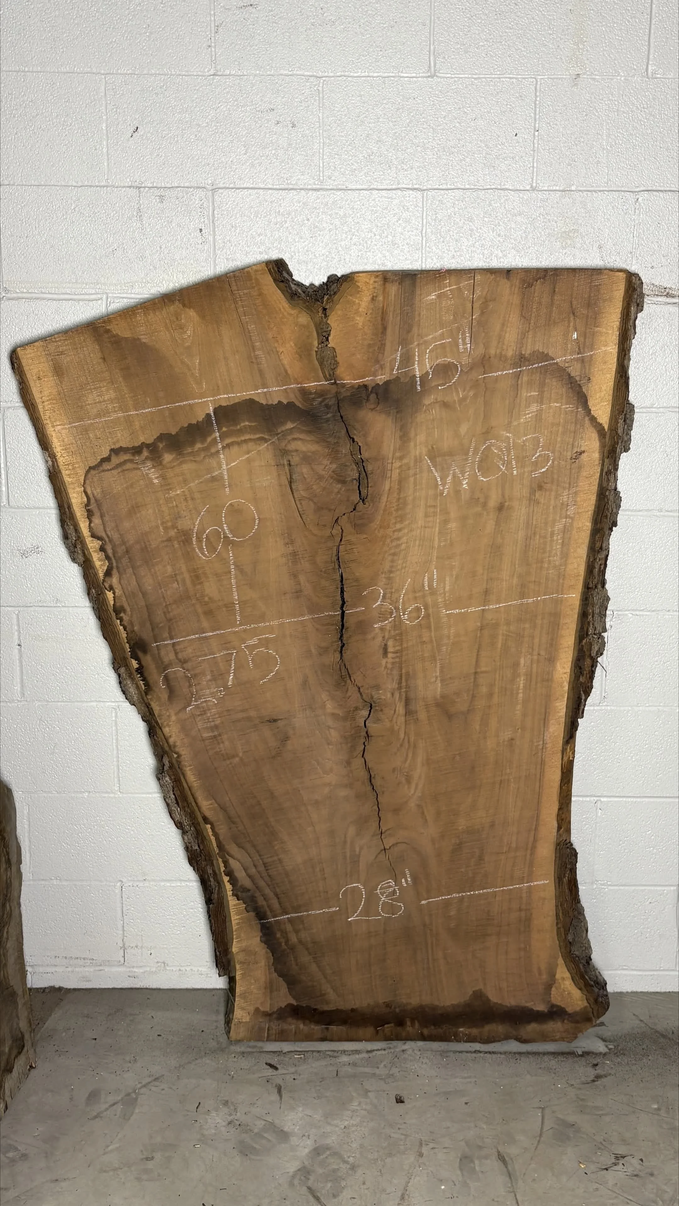 Walnut Slab W013