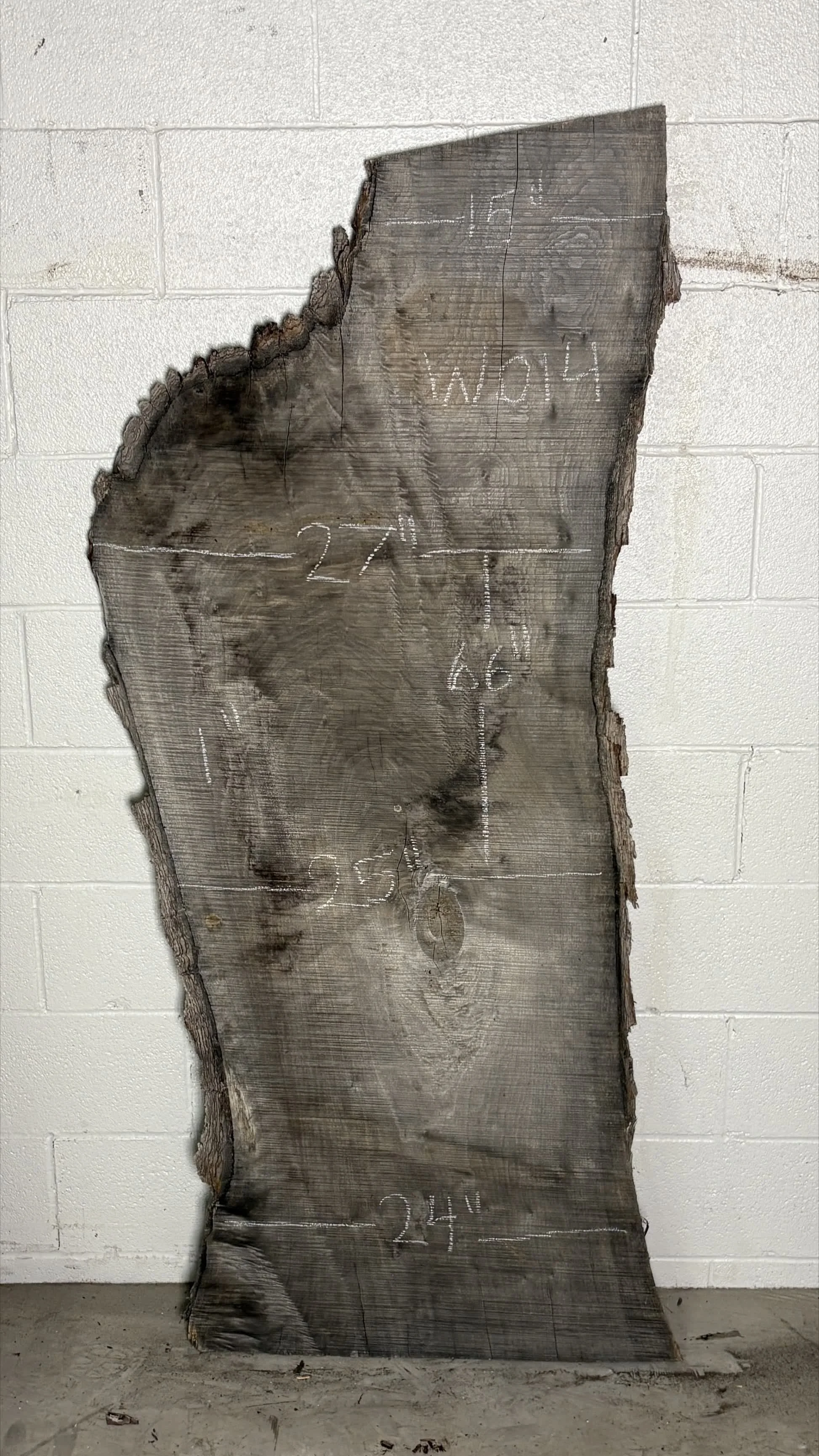 Walnut Slab W014