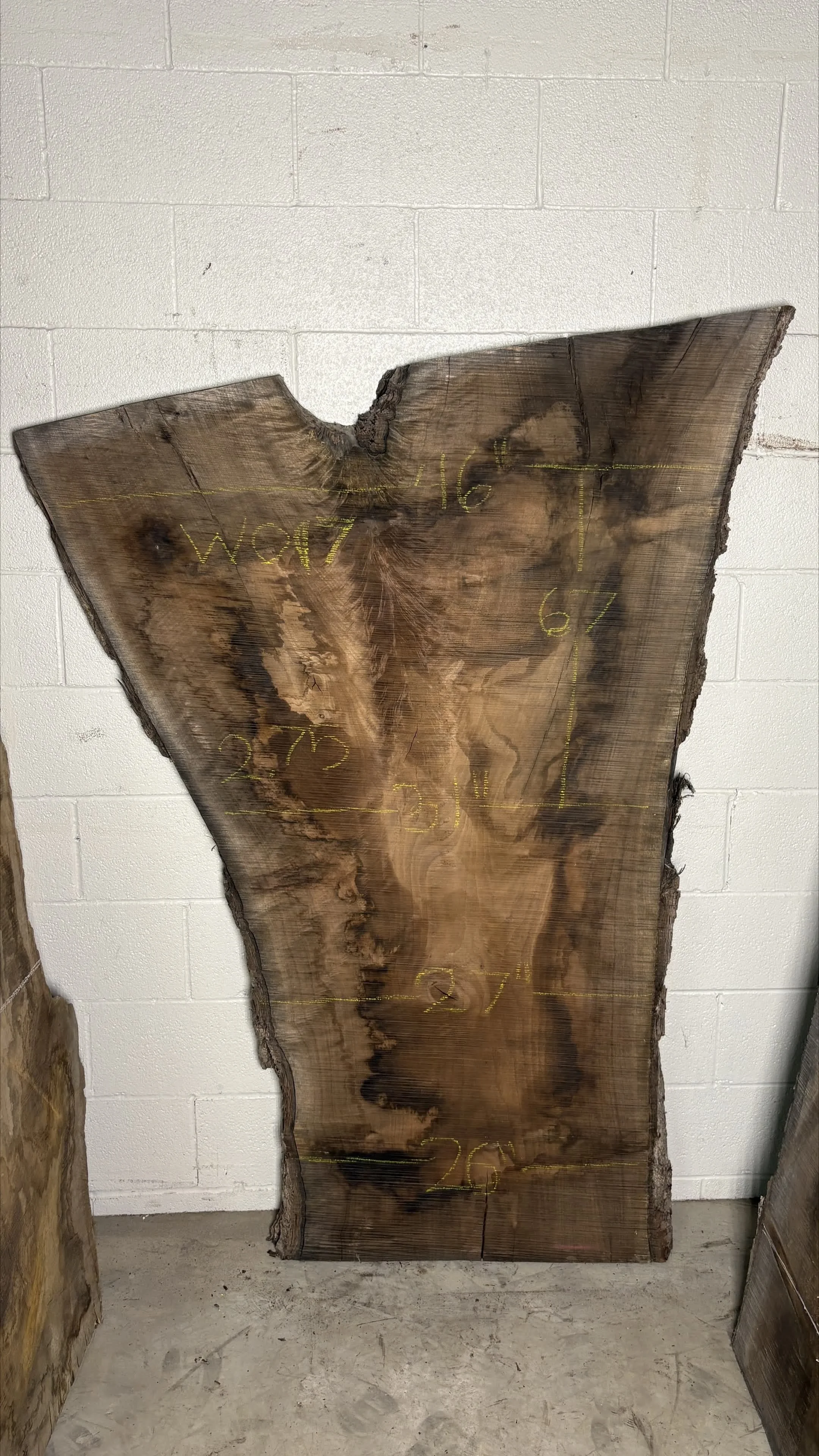 Walnut Slab W017
