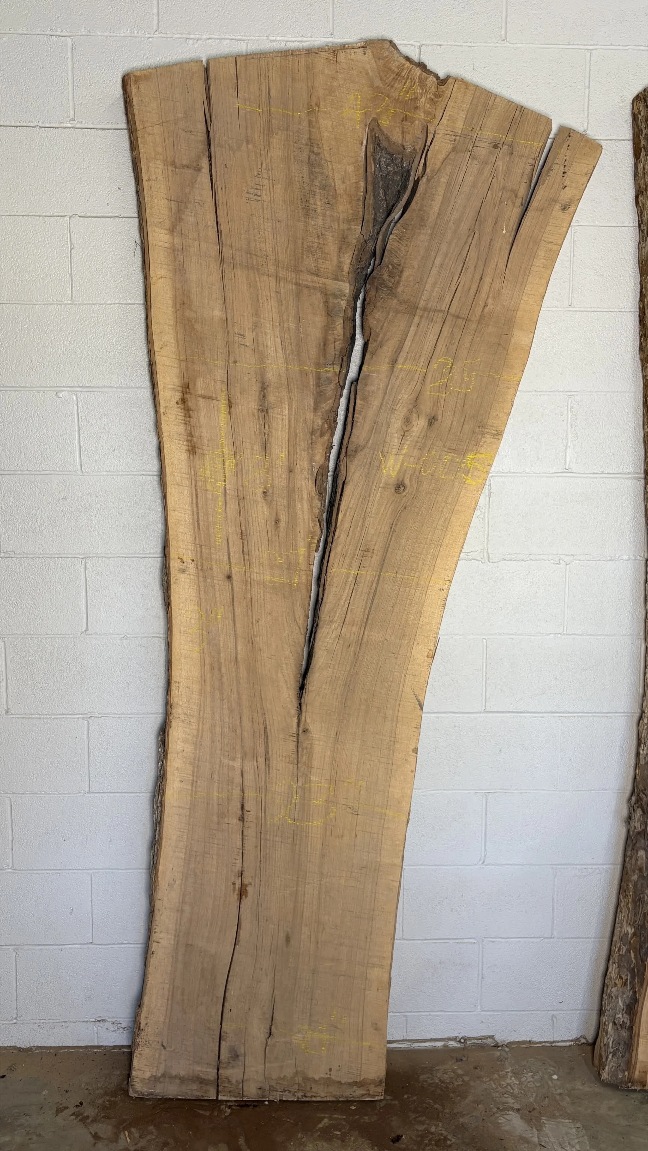 Walnut Slab W005