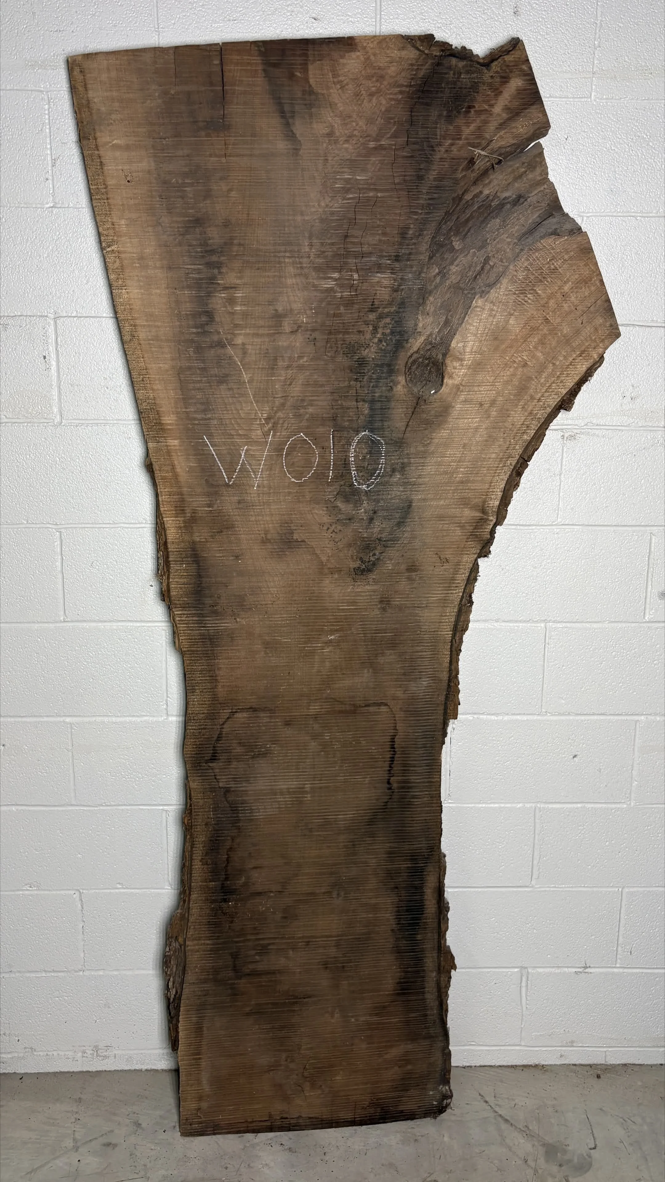 JS W010b.JPG.jpg