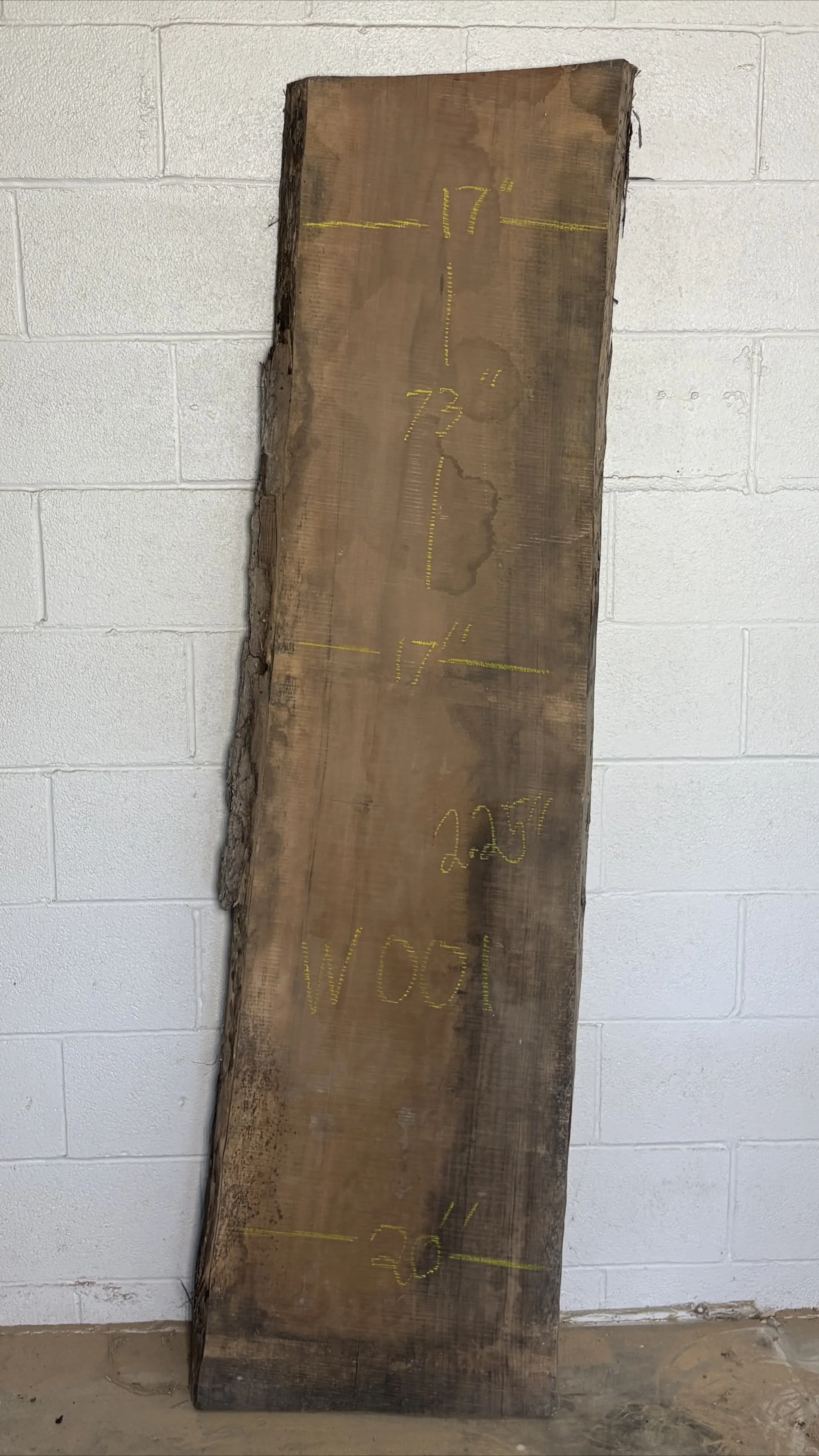 Walnut Slab W001