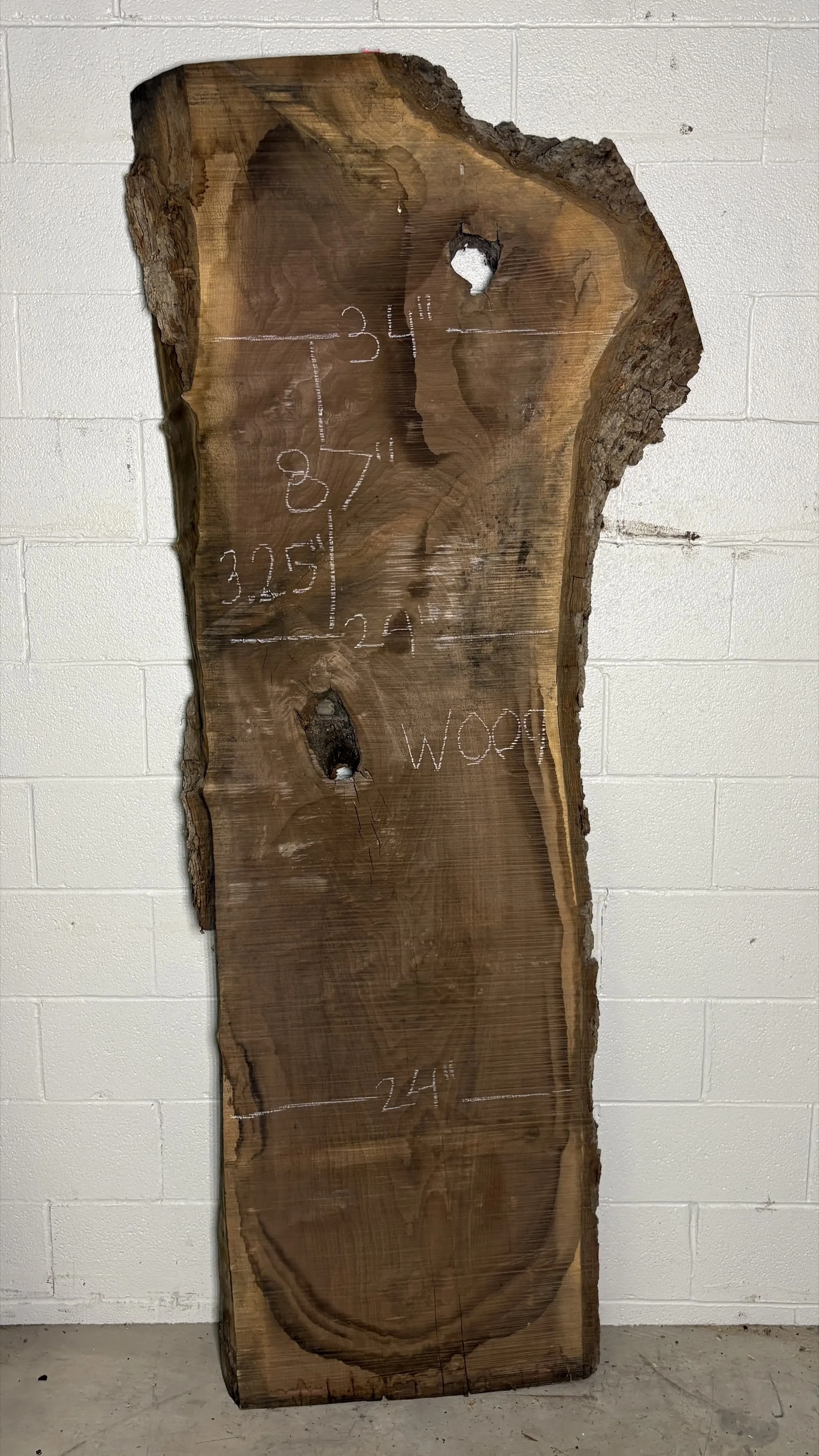 Walnut Slab W009
