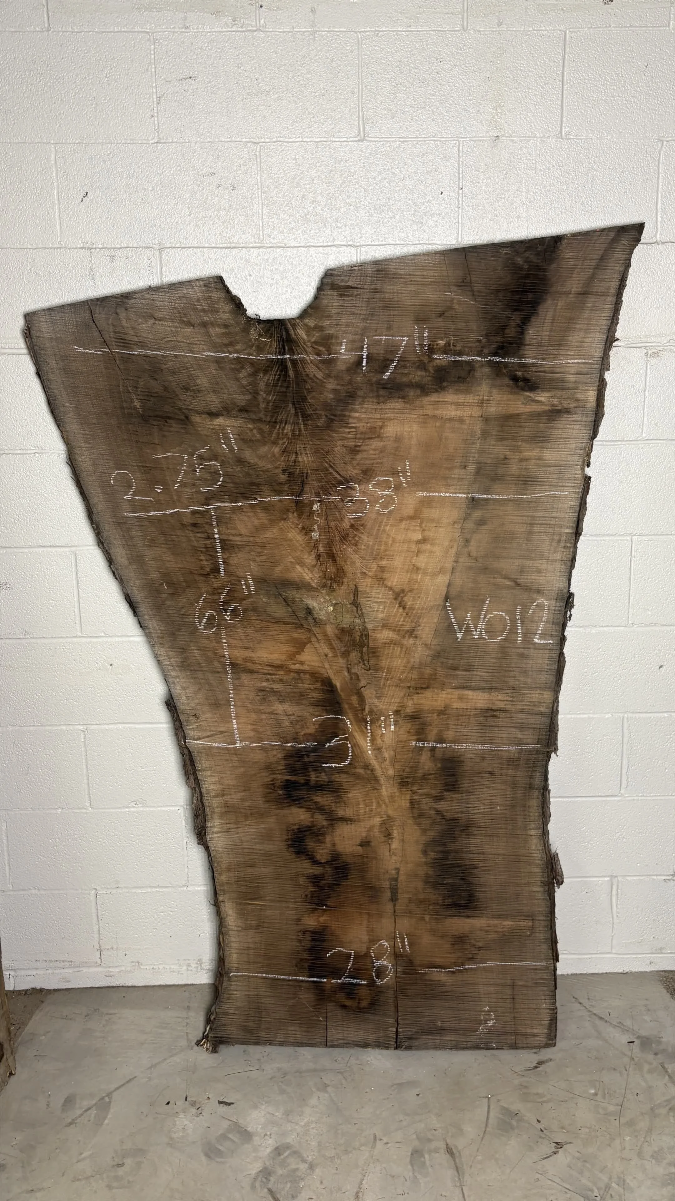 Walnut Slab W012
