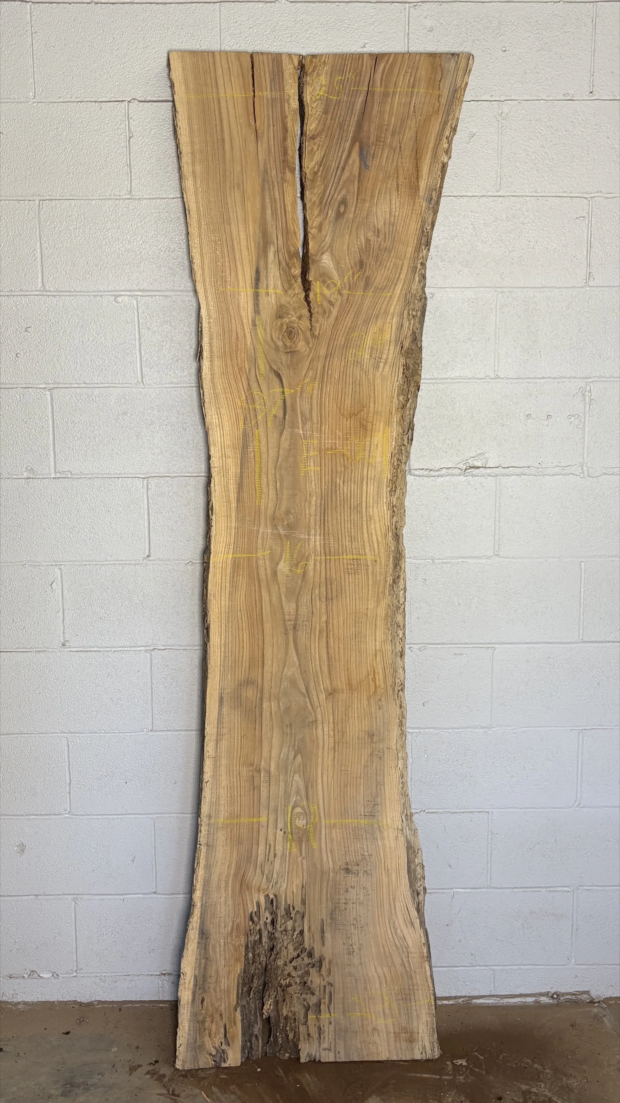 Elm Slab