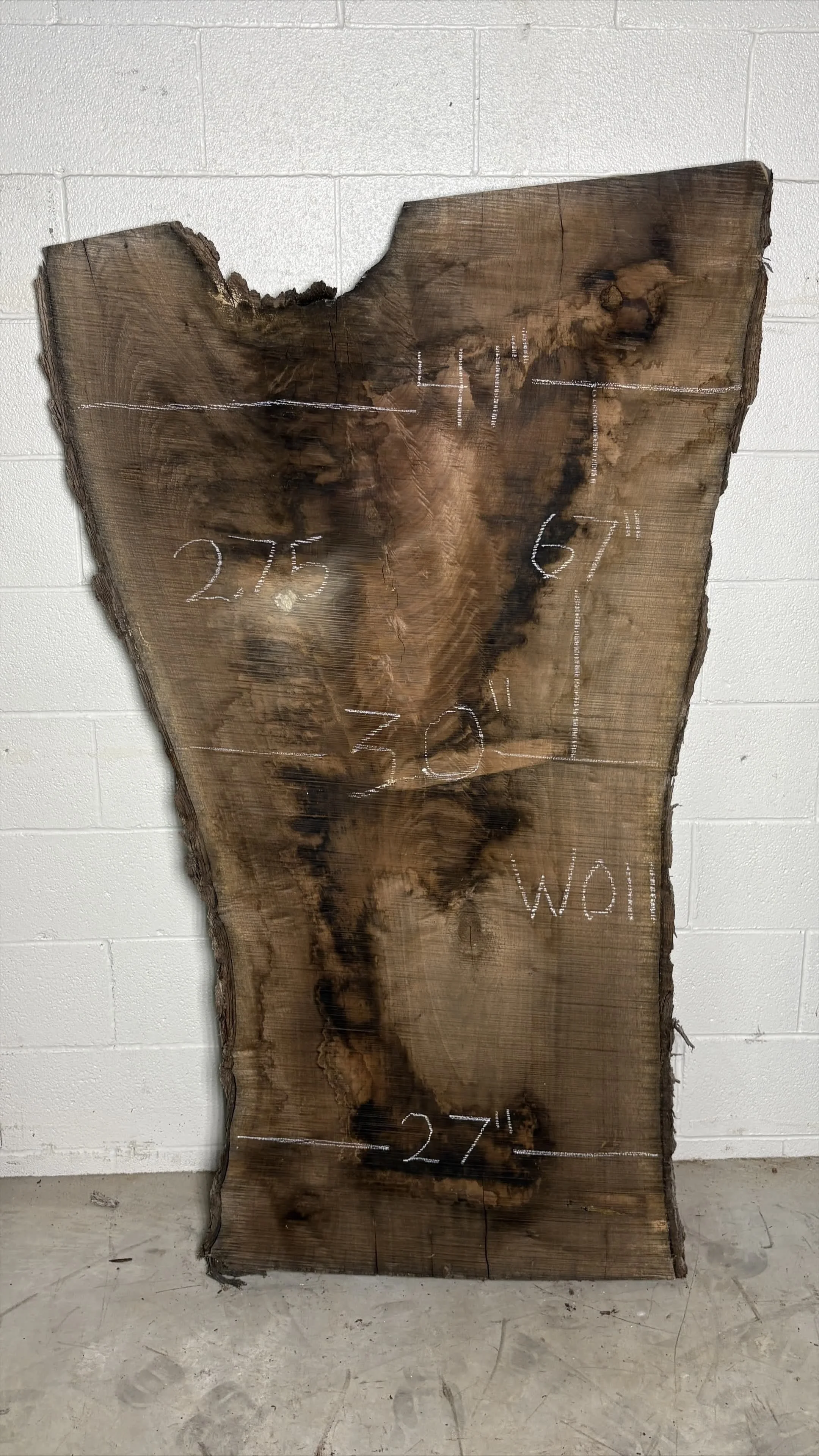 Walnut Slab W011