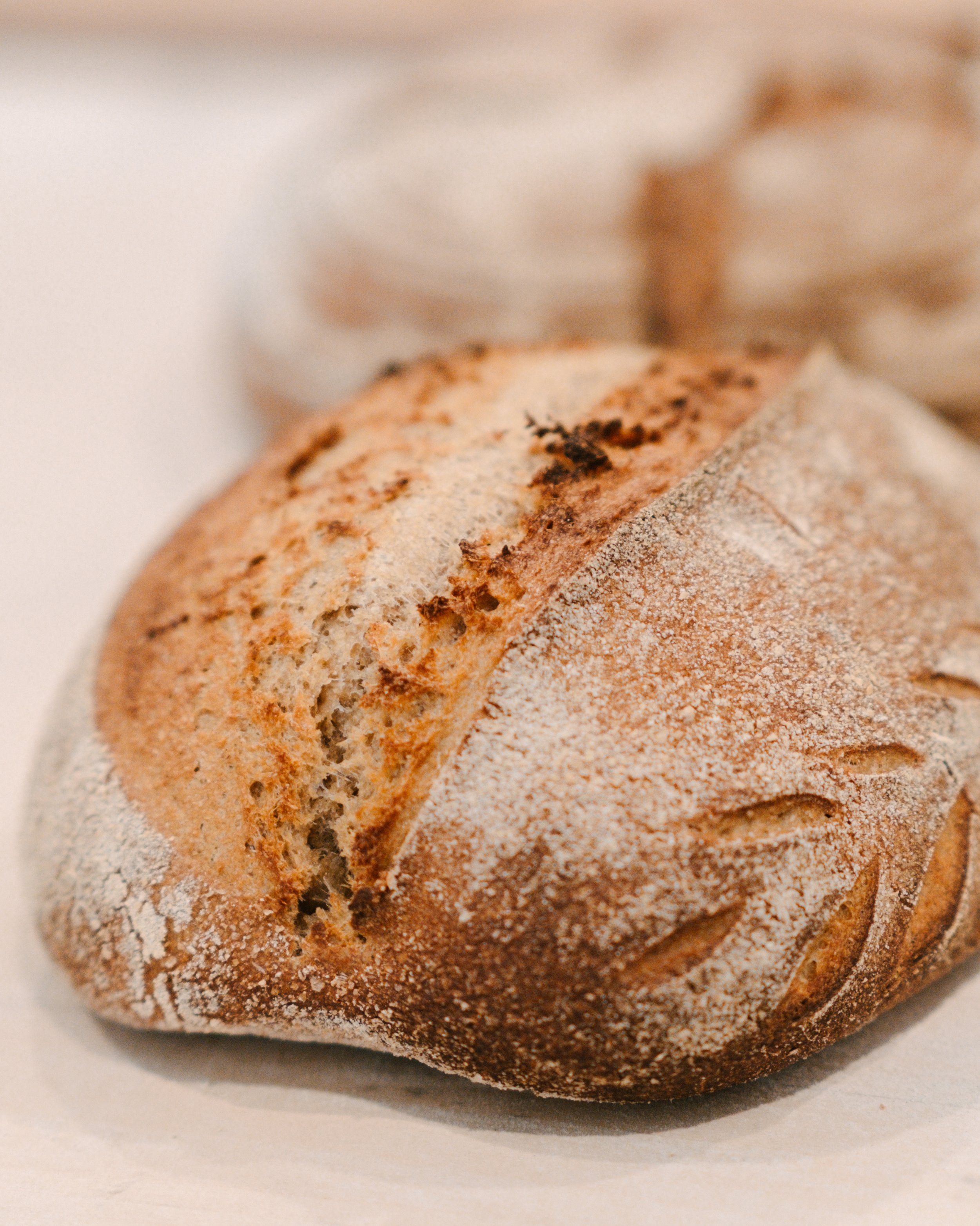 Basic Sourdough Class