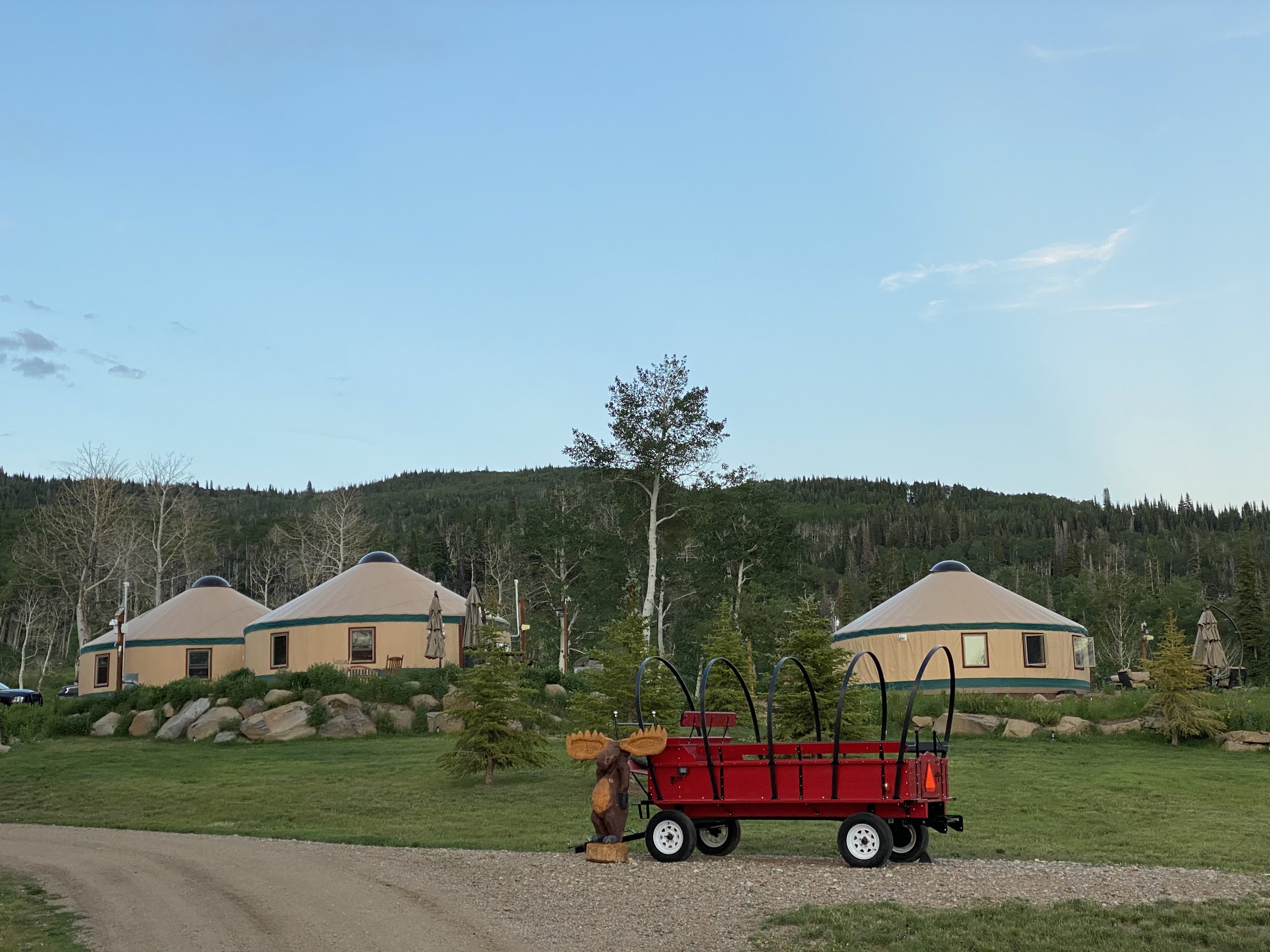 "Moose out front shoulda told ya..."