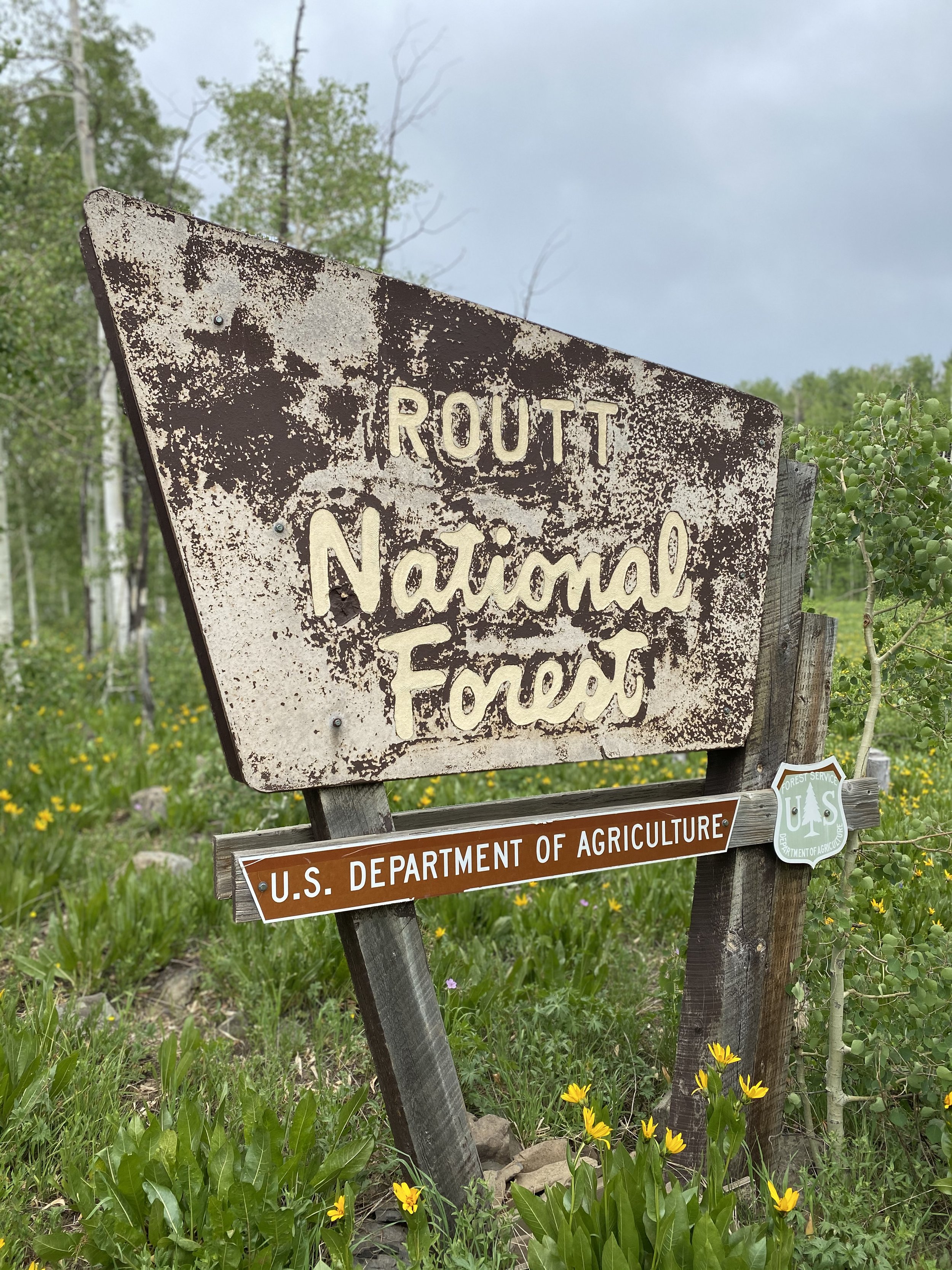 Welcome to the Routt National Forest.