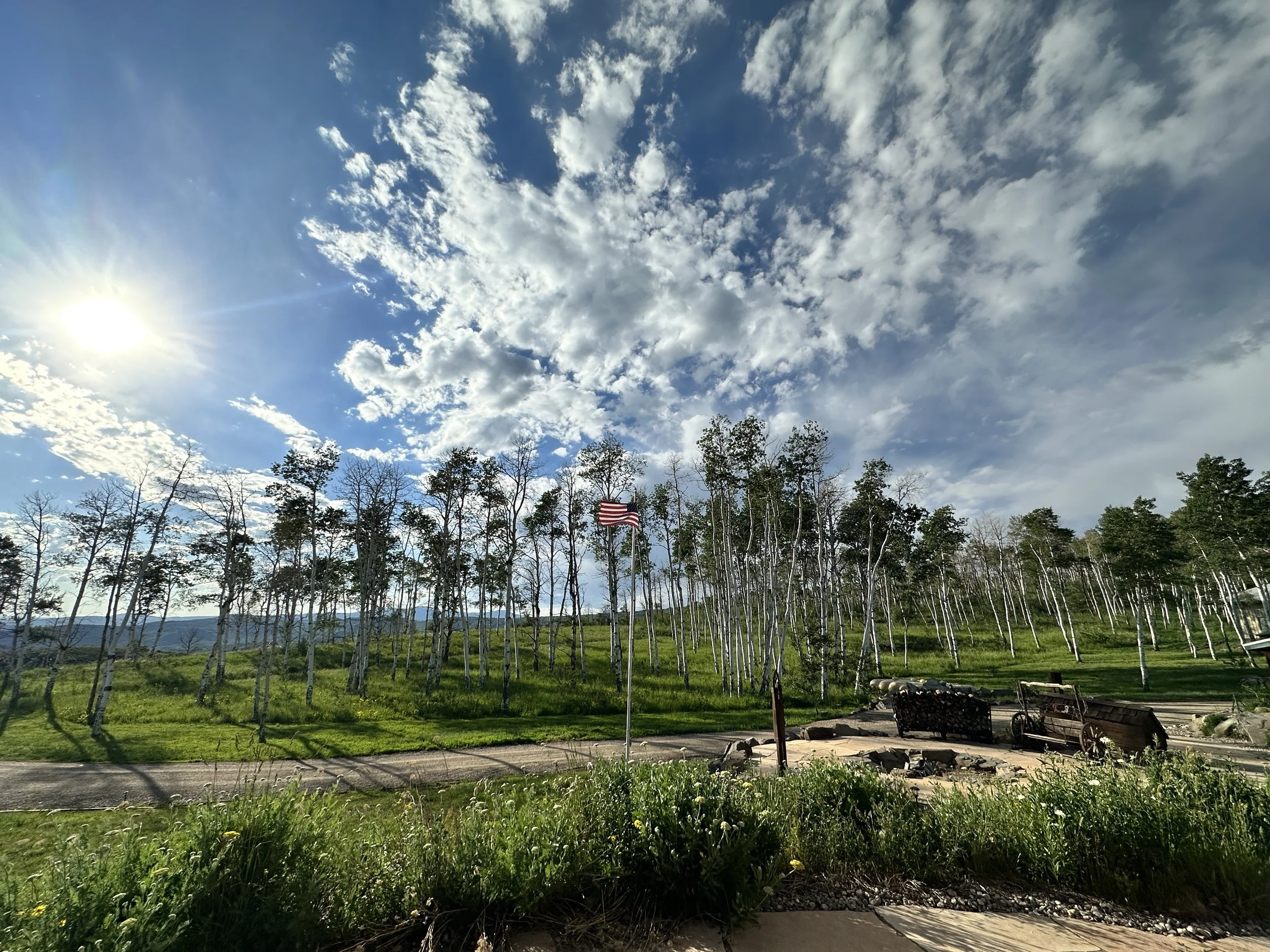 Sun lowering over the aspens.