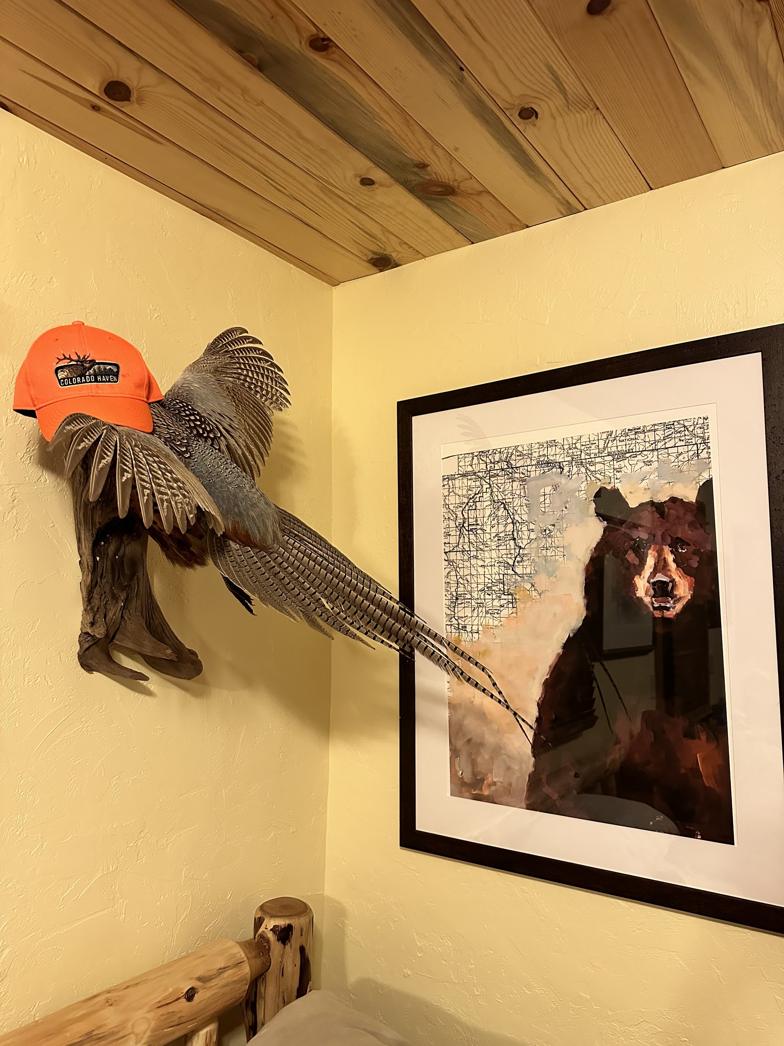 Pheasants and bears, in the Lower Cabin.