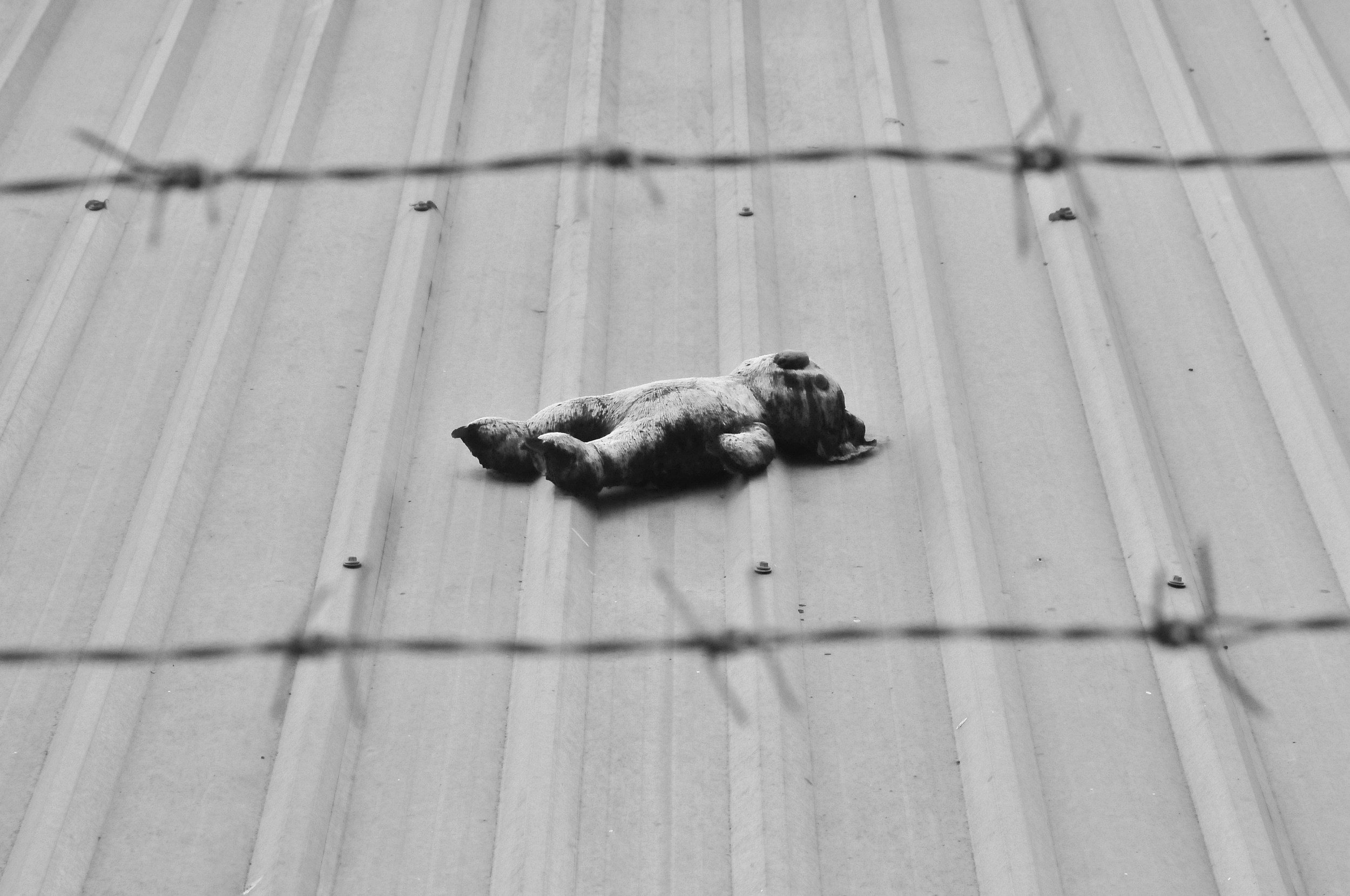 Healing Hidden Wounds: Developmental Trauma and Complex PTSD