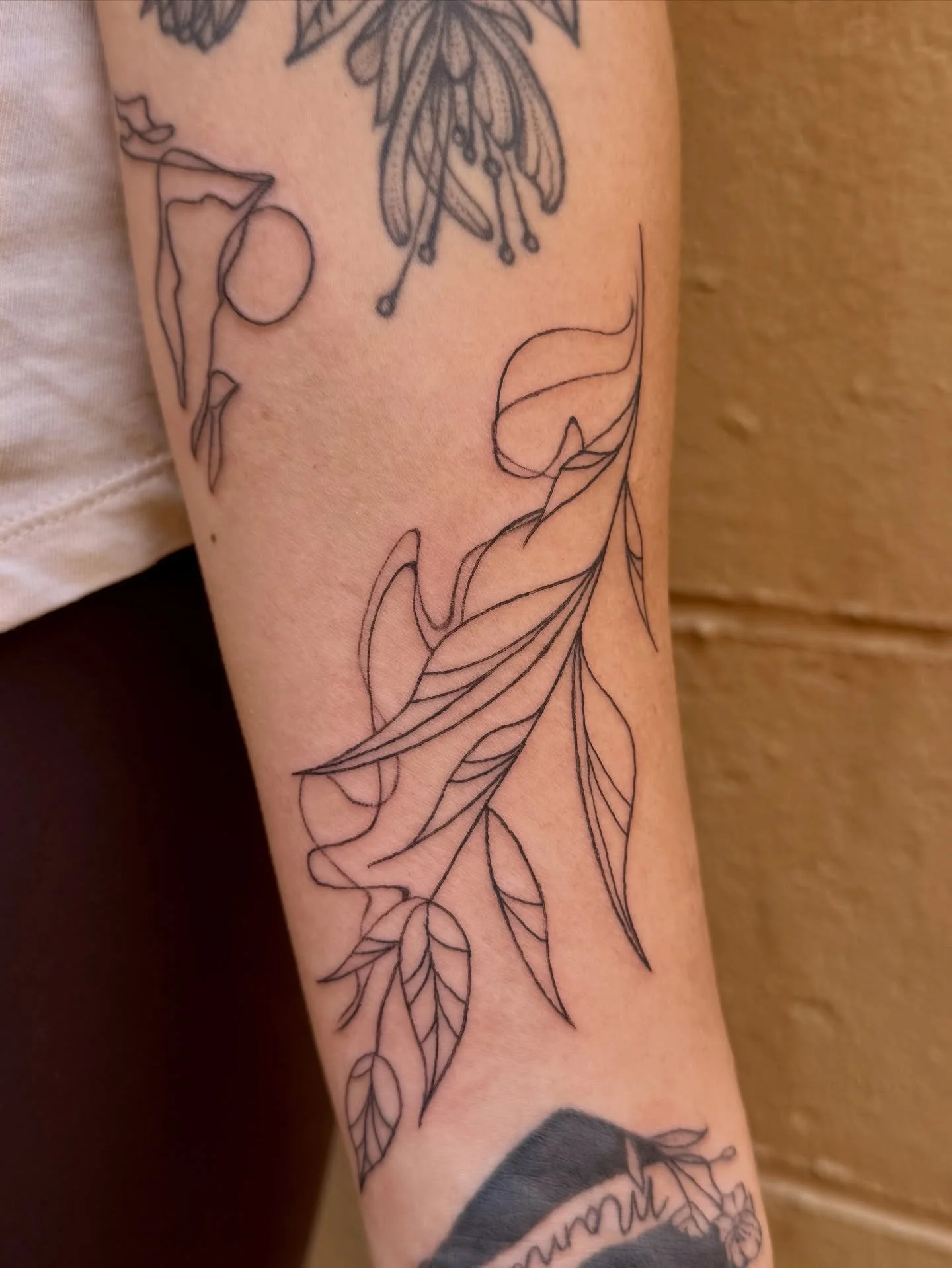 Fun and simple abstract line work leaf gap filler tattoo 

#gapfillertattoo #sacramentotattooartist #botanicaltattoo