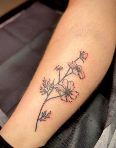 Screen Shot 2024-05-23 at 11.32.28 AM.png