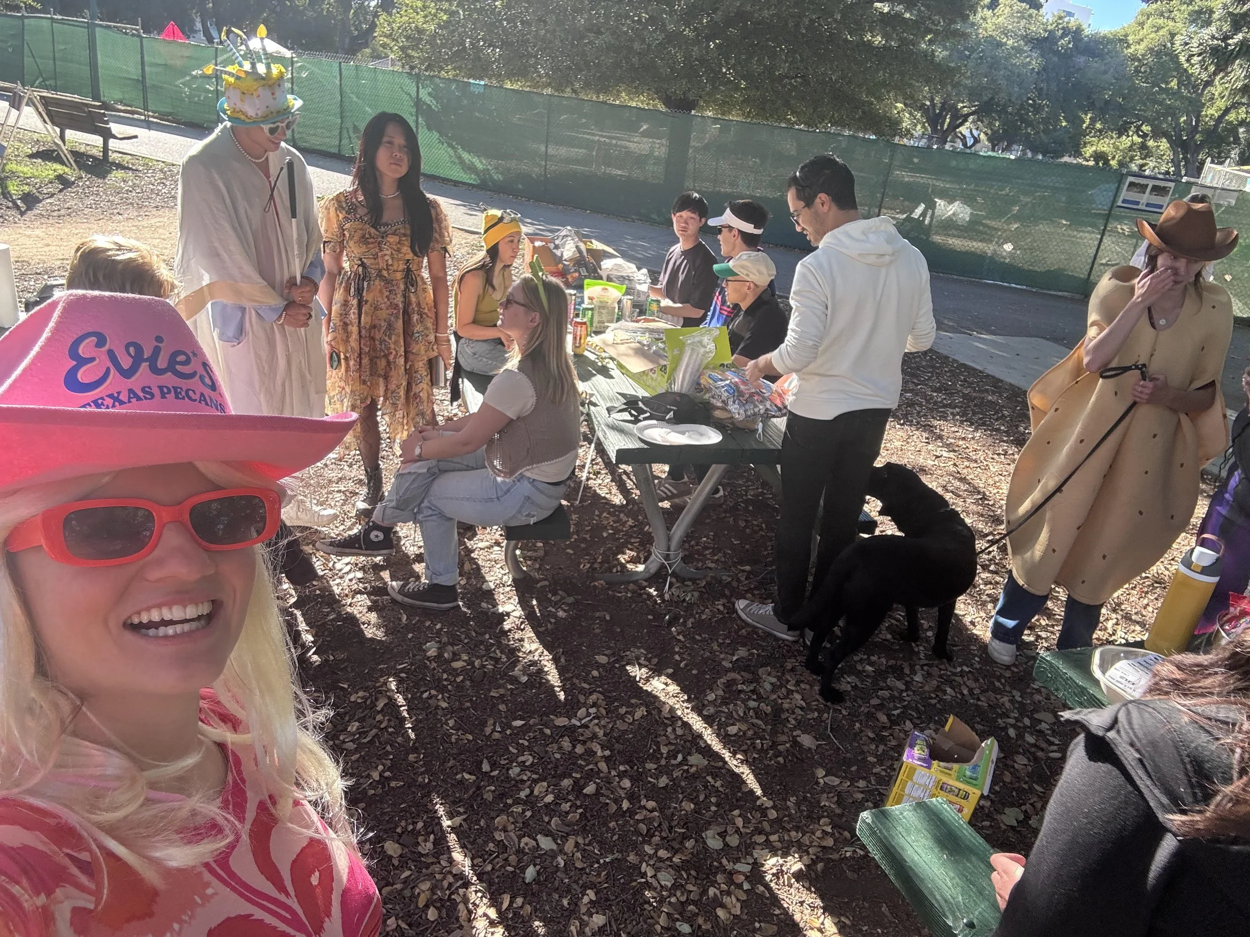 A selfie of Anna with multiple people in costume at a park