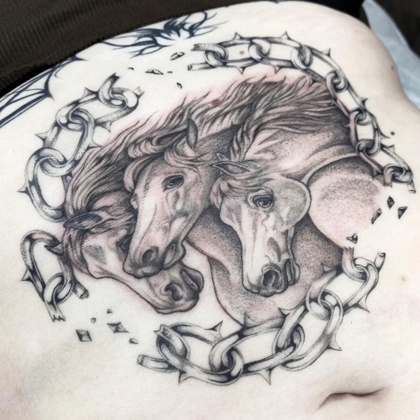 Delaney @horsegirltats.JPG