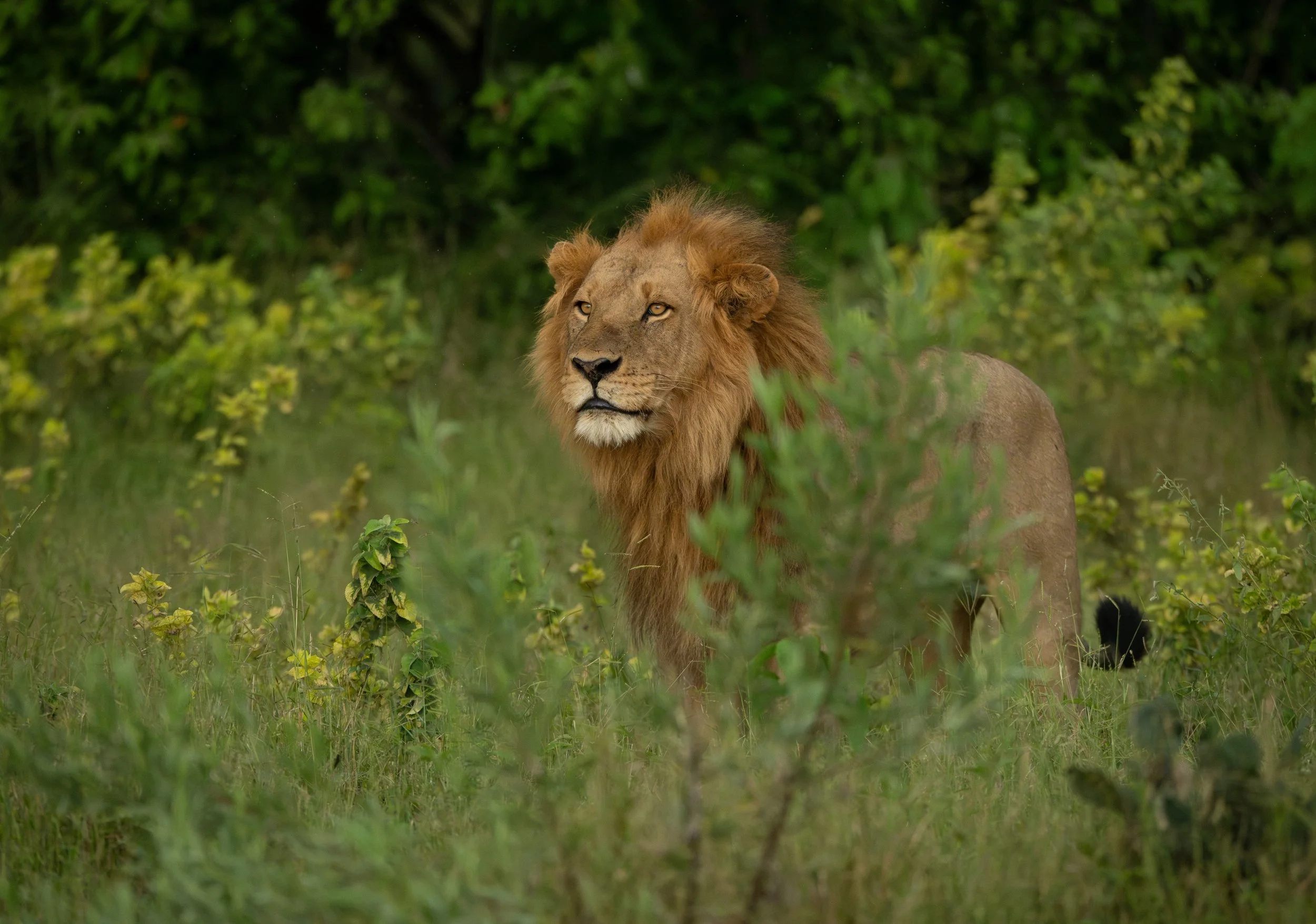 Okavango Delta, Botswana