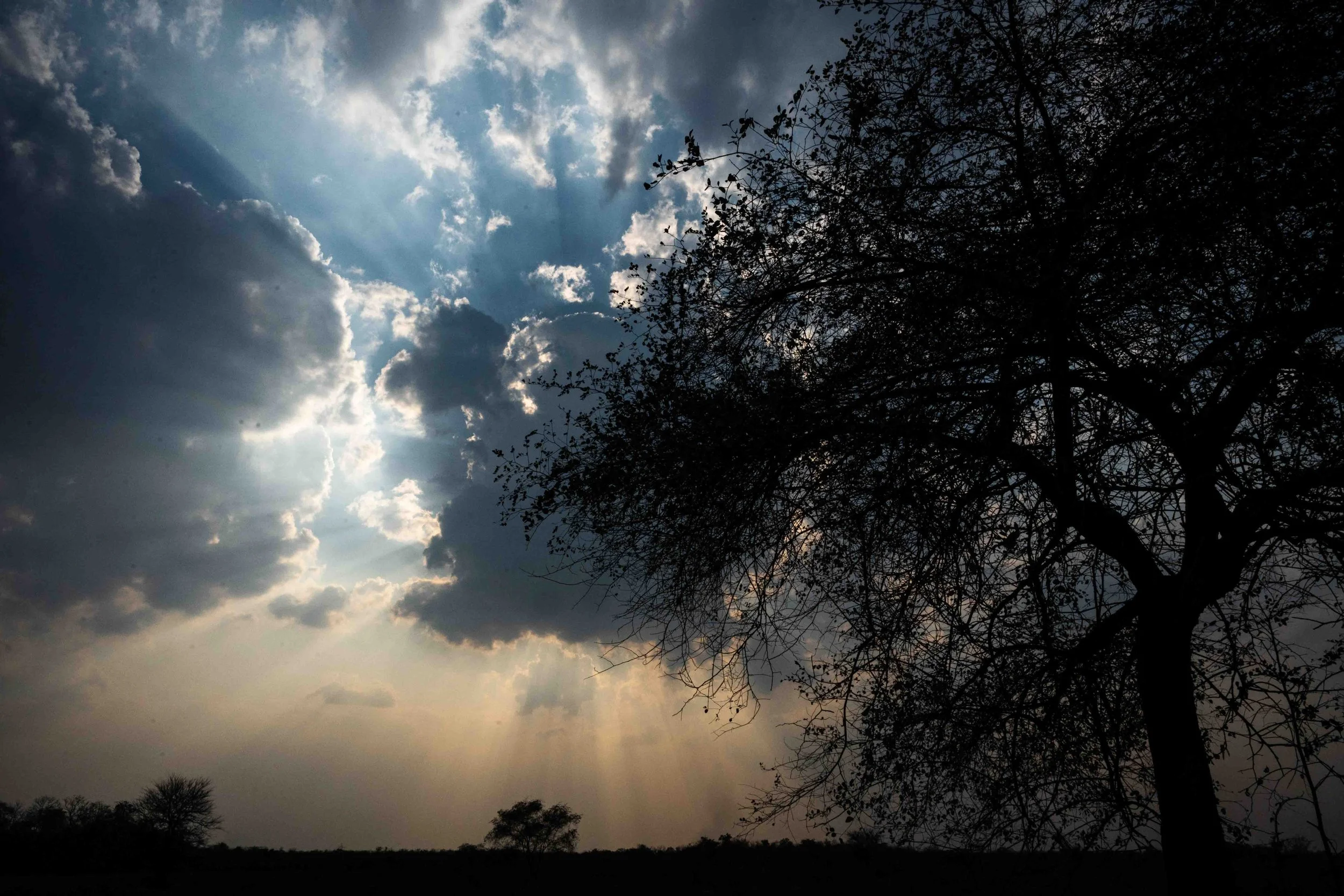 Landscape with sun rays Tadoba-1.jpg